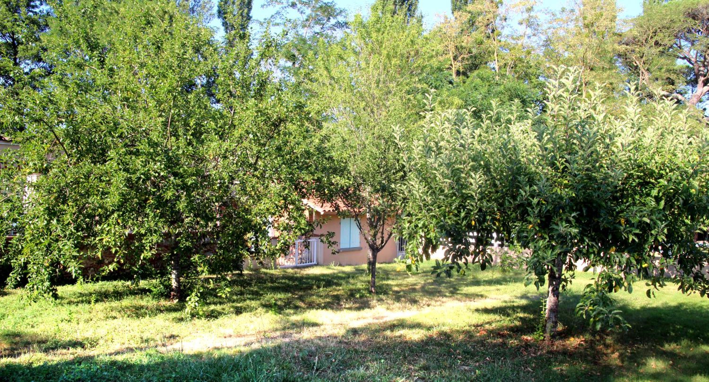 Photo 43