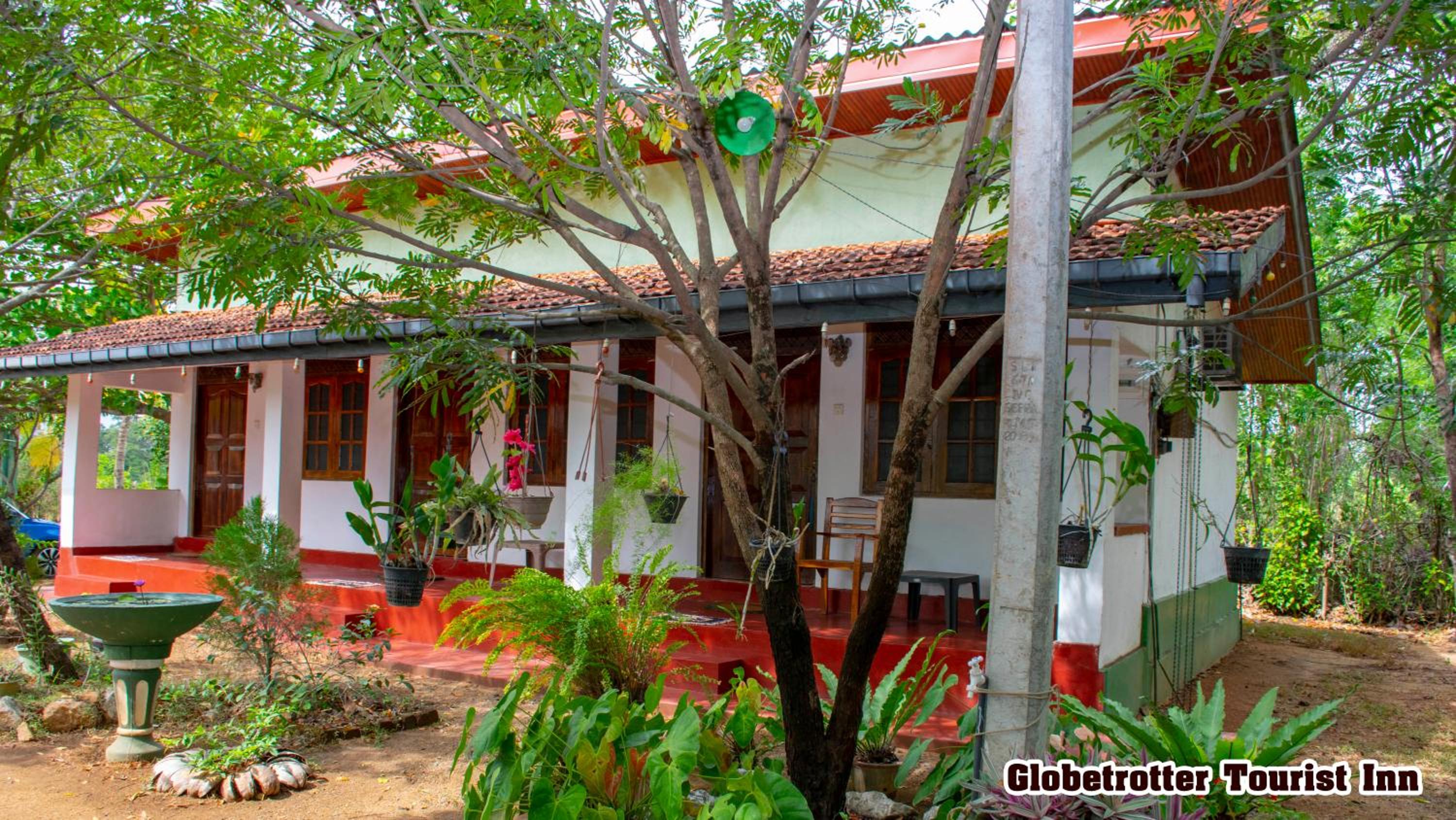 Photo 21