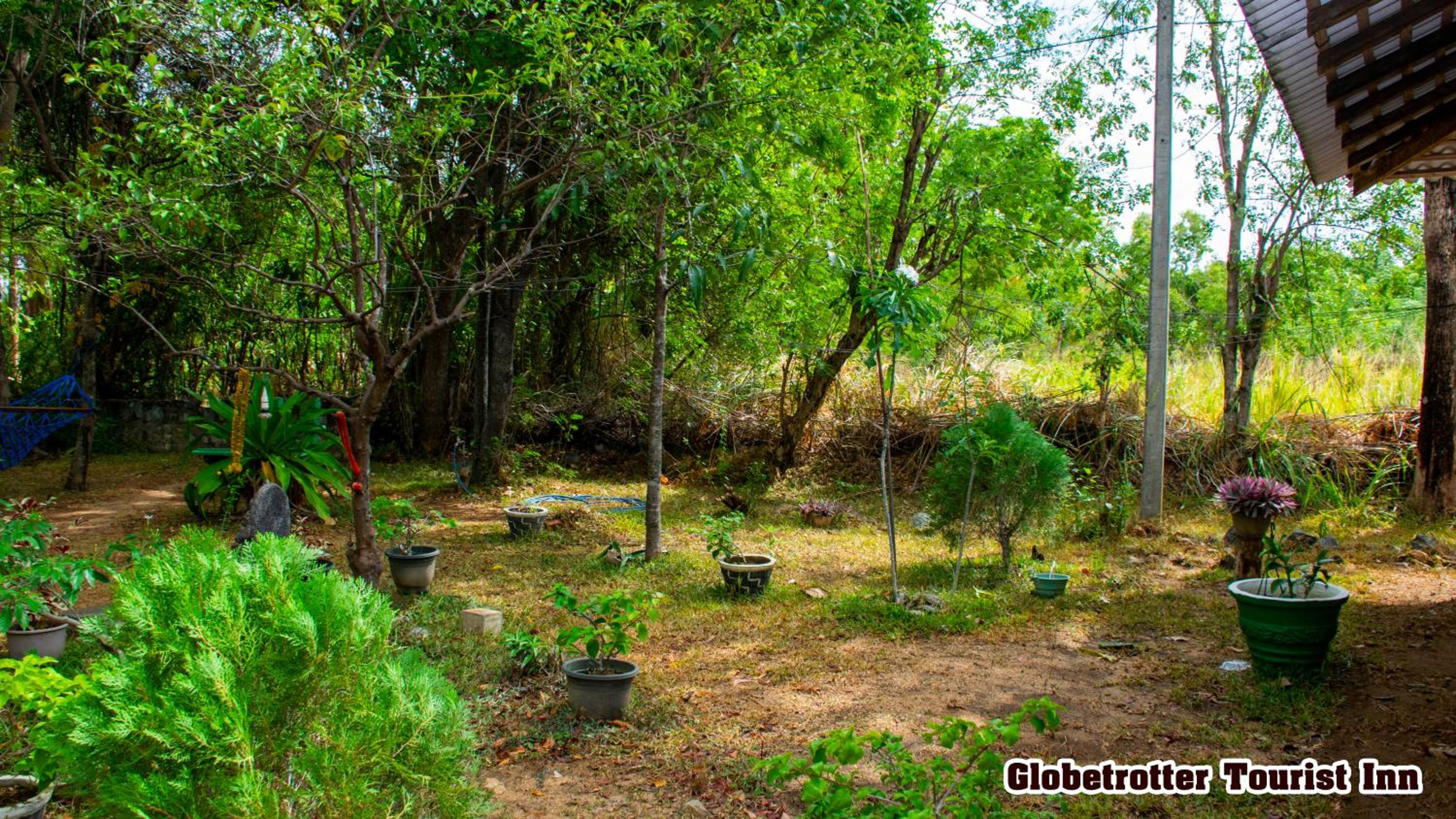 Photo 25