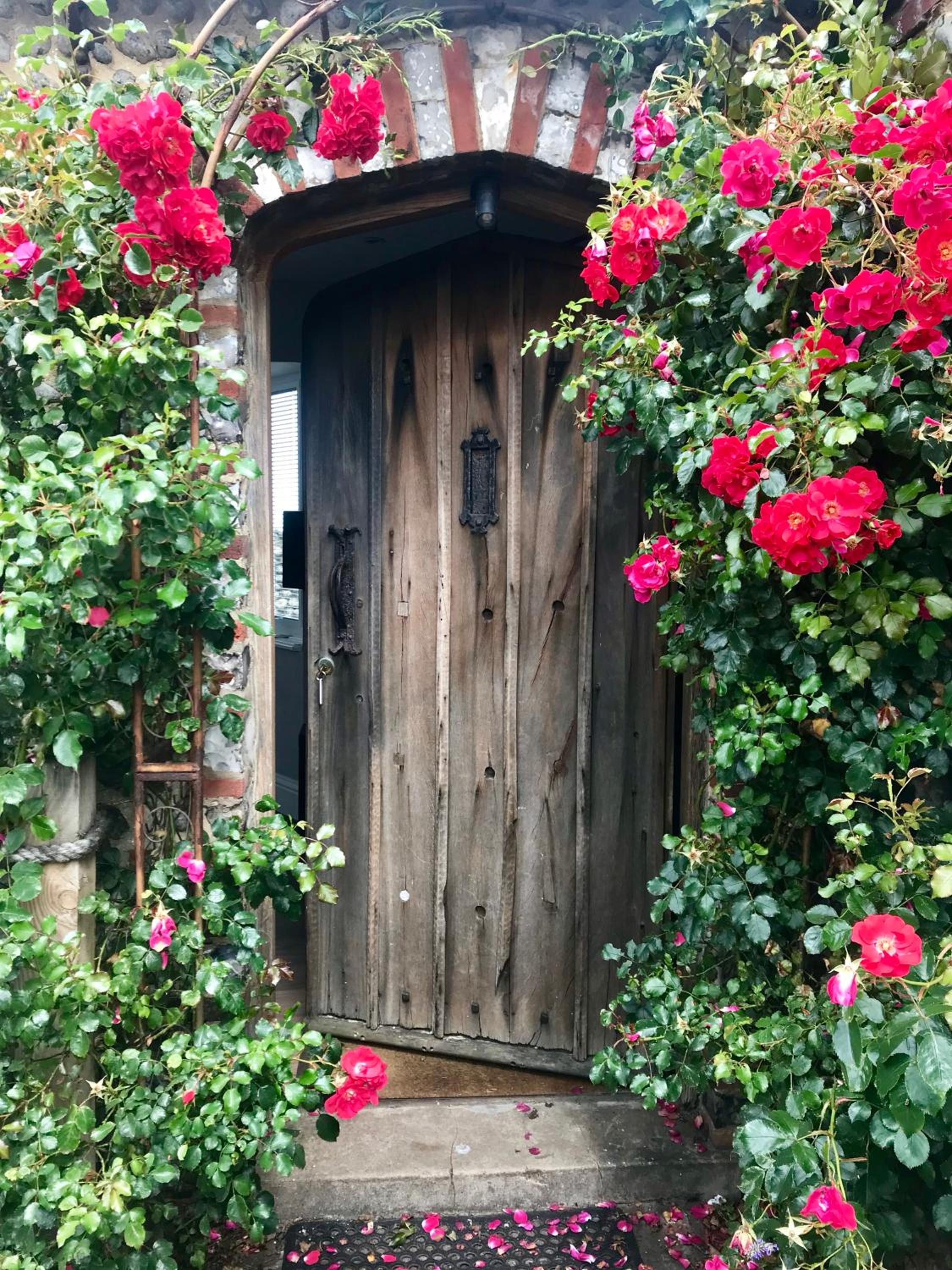 Copper's Cottage view 3