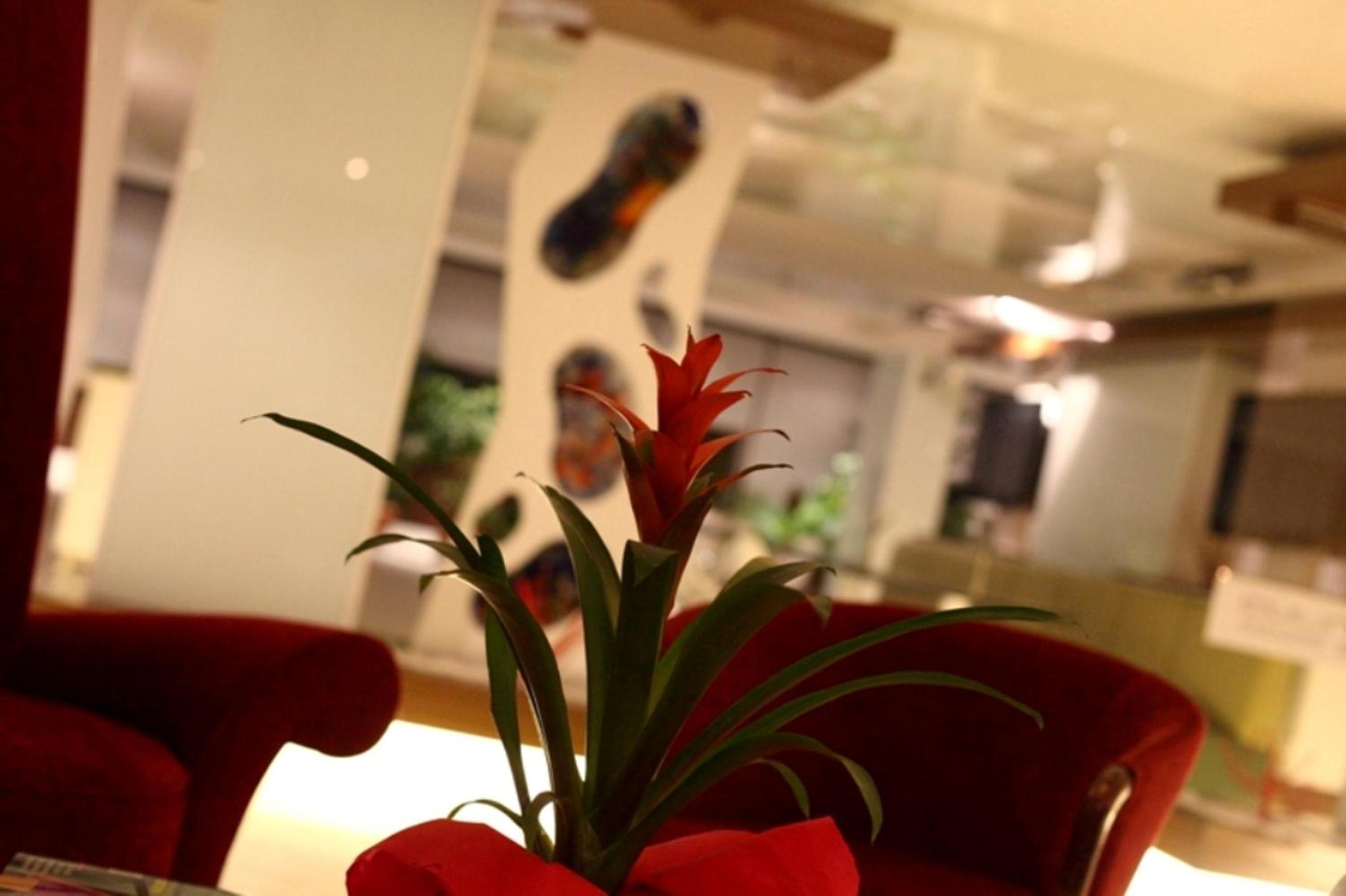 No:19 Butik Otel - Image 57