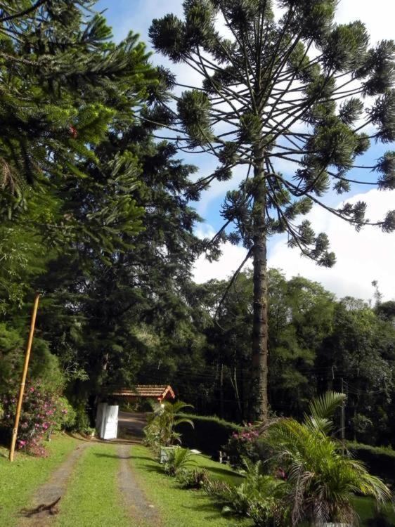 Pousada Bramasole em Monte Verde view 3