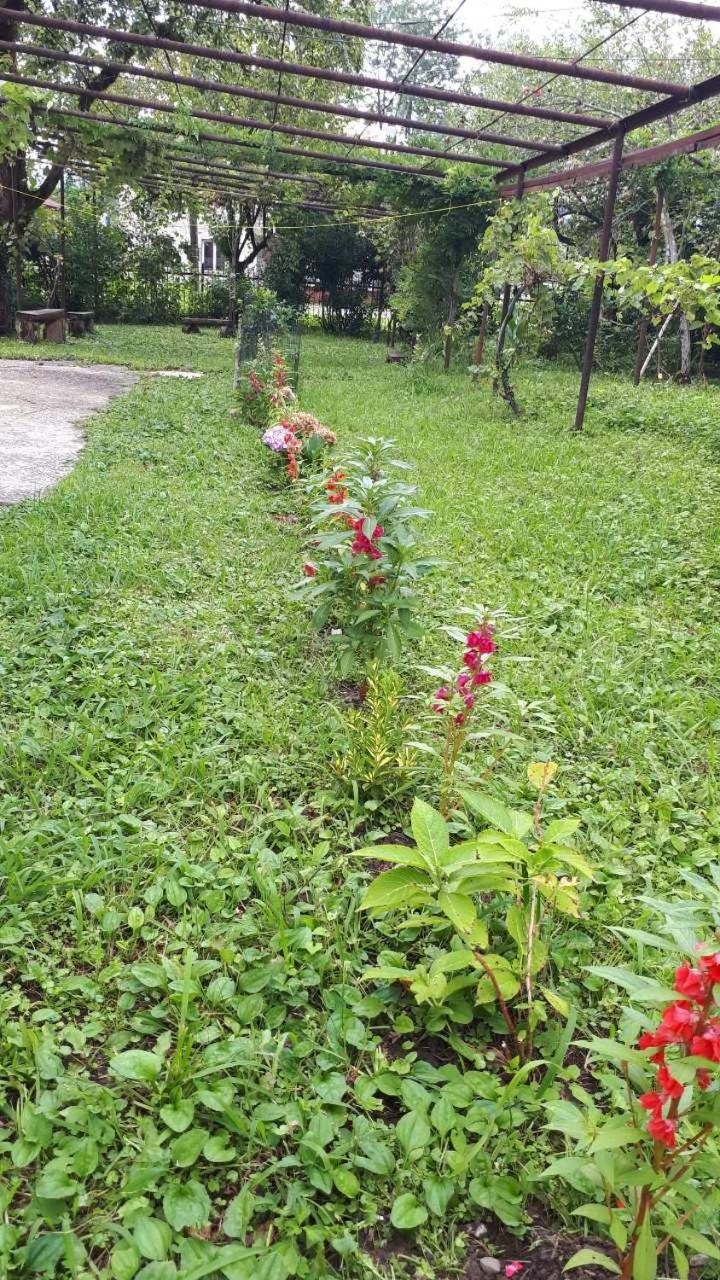 Photo 19