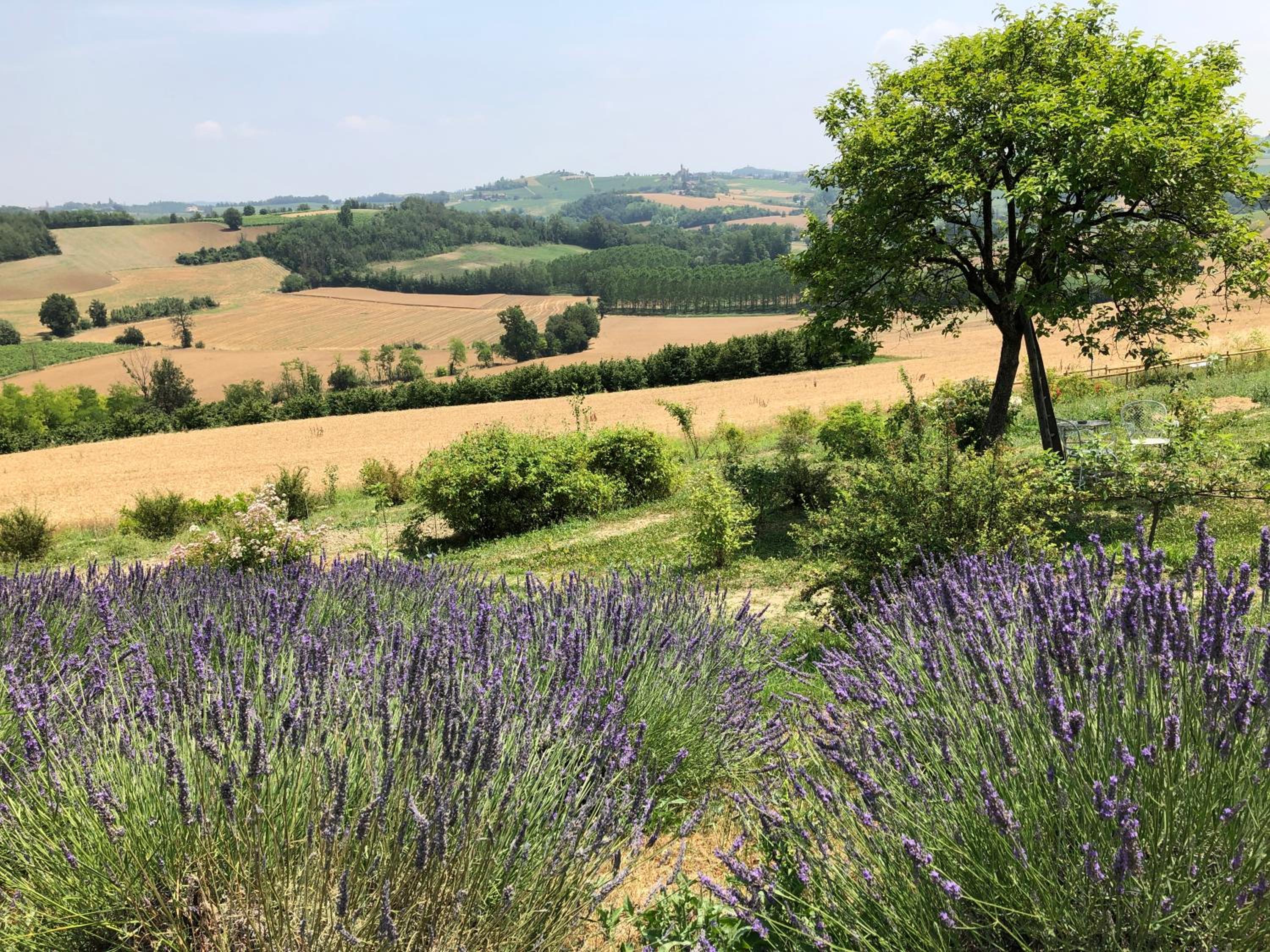Cascina Vicentini