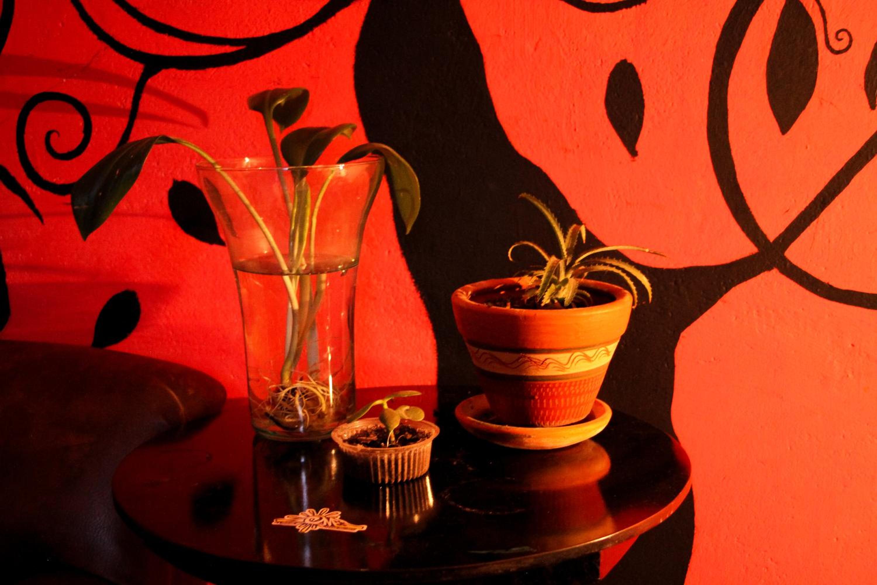 Hostal Música y Arte