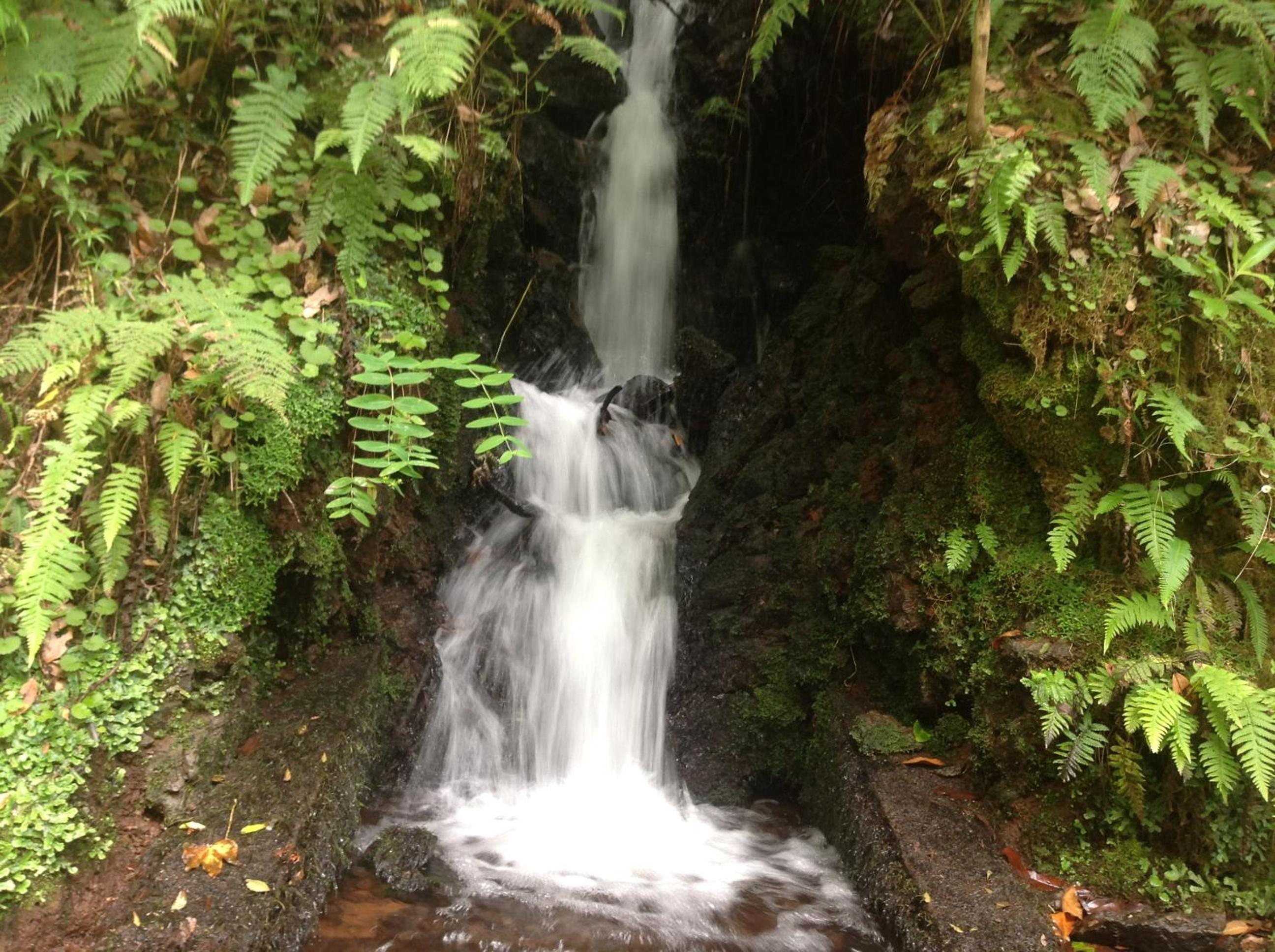 Photo 22