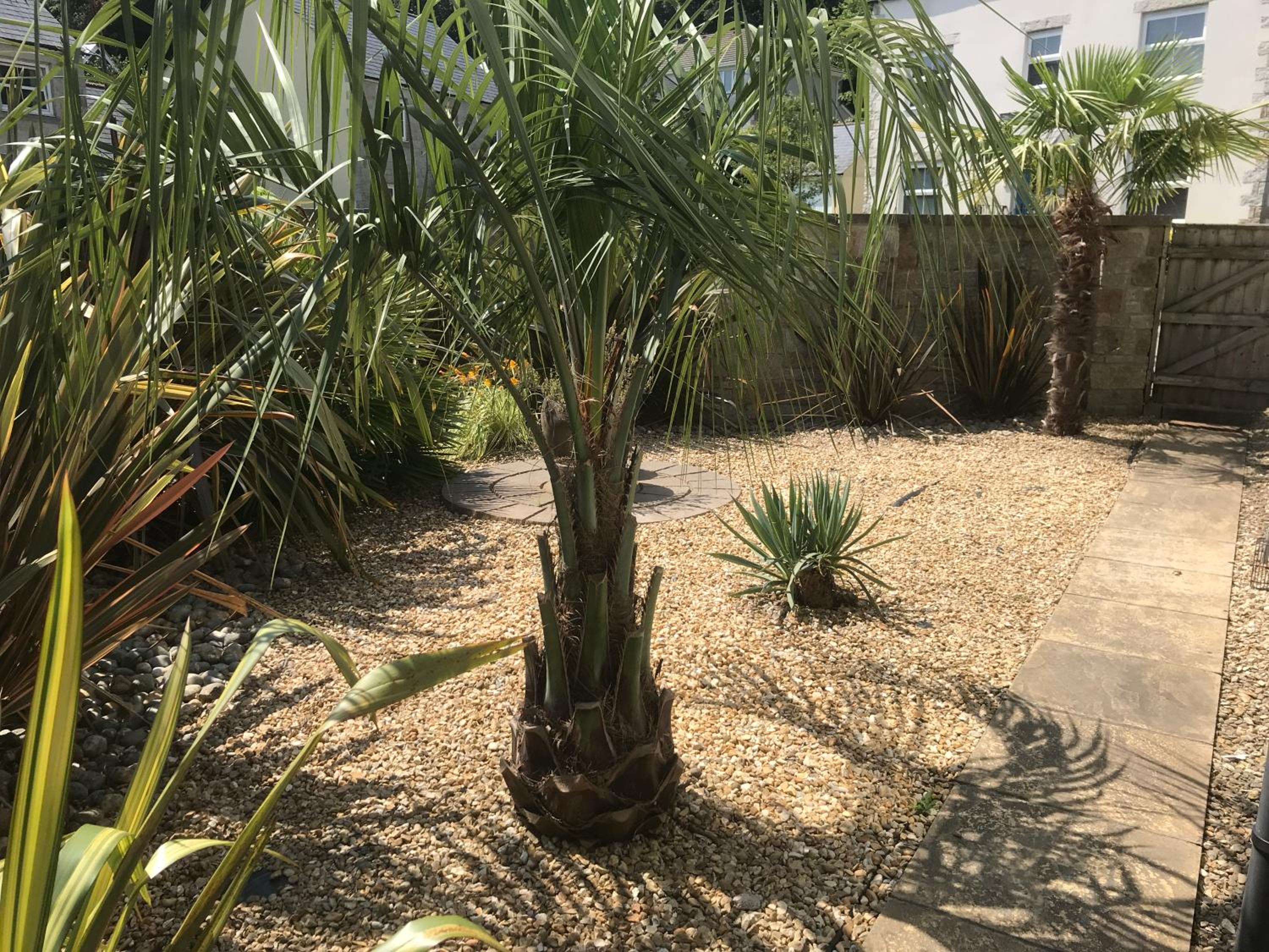 Photo 19