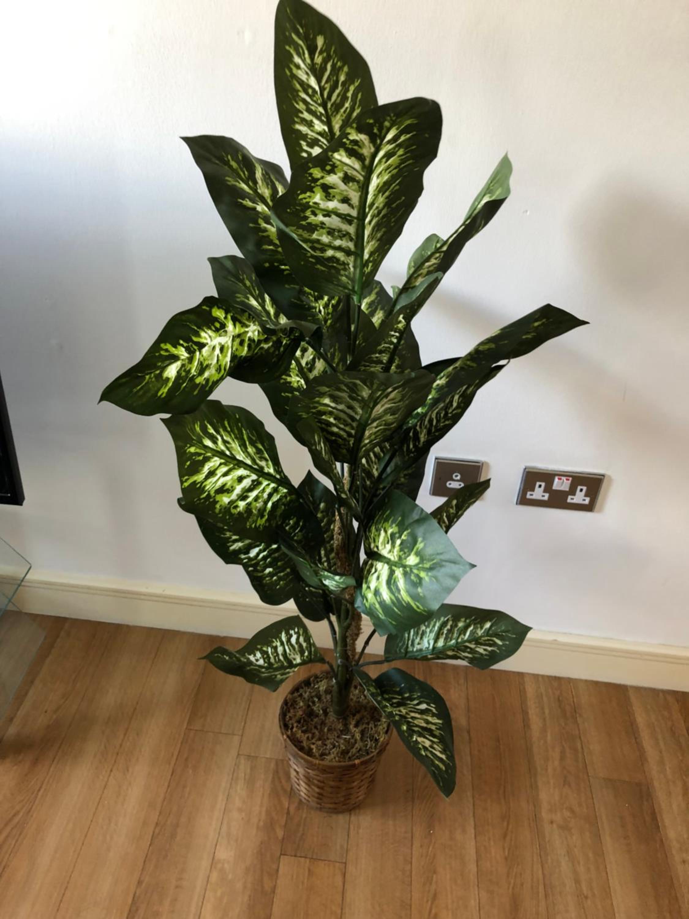 Guildford Vacations - Blue Sky Apartments Abbots Yard, Guildford - Property Image 13