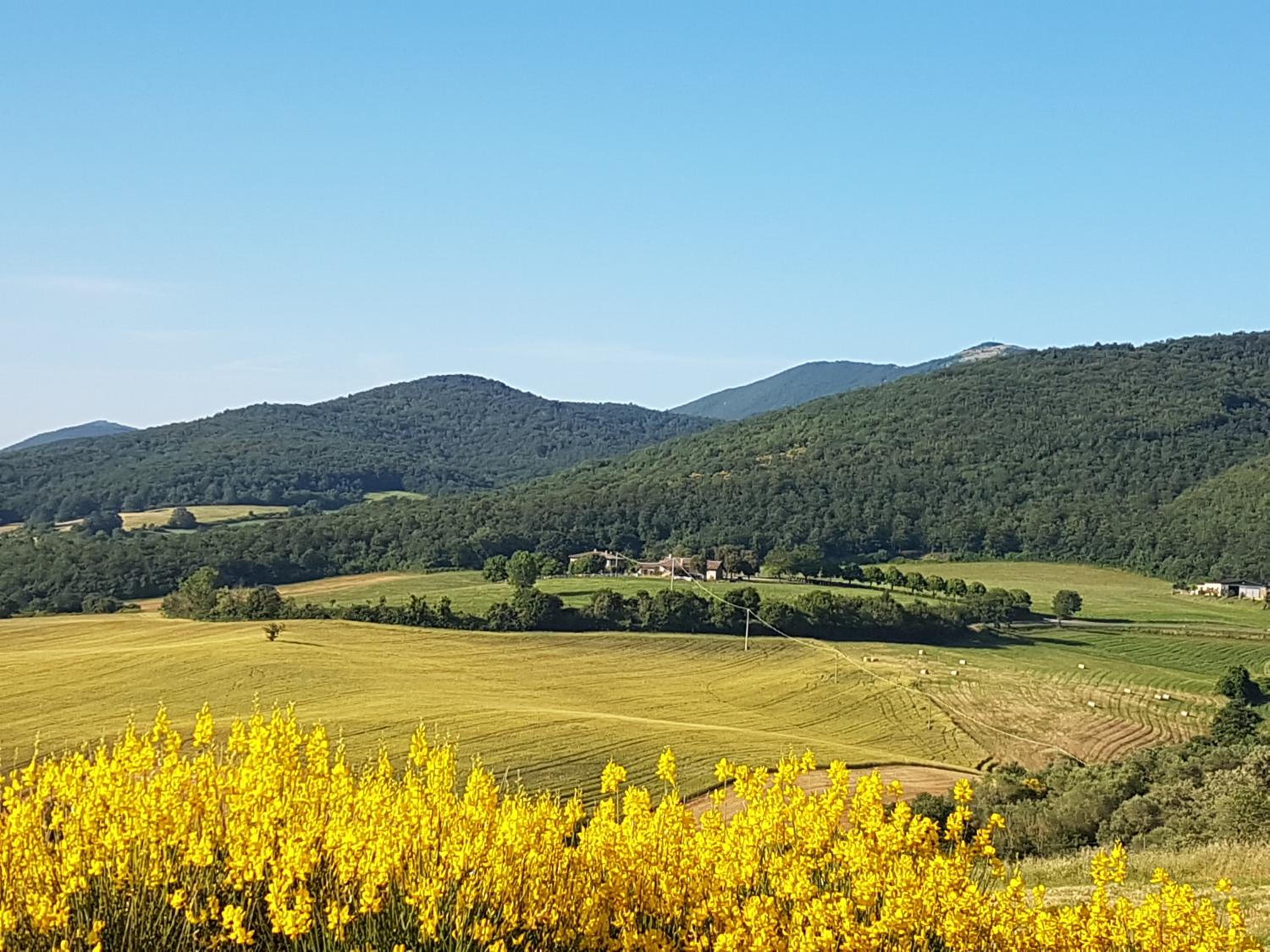 Cerqueti agriturismo view 2