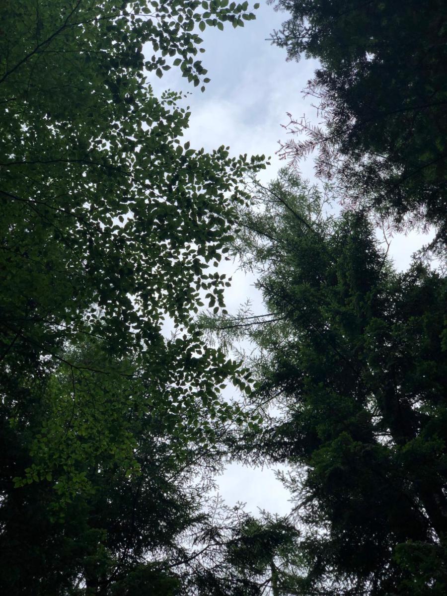 Photo 32