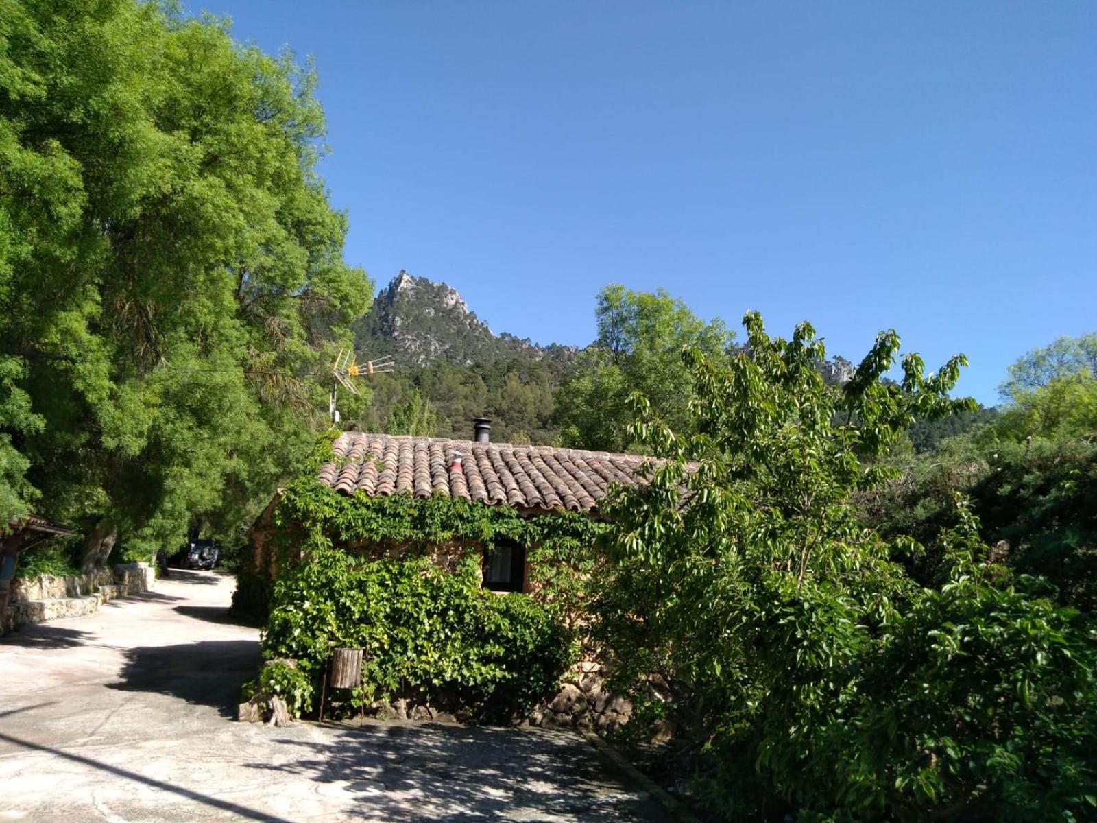 Casas Rurales Picos Del Oso view 5