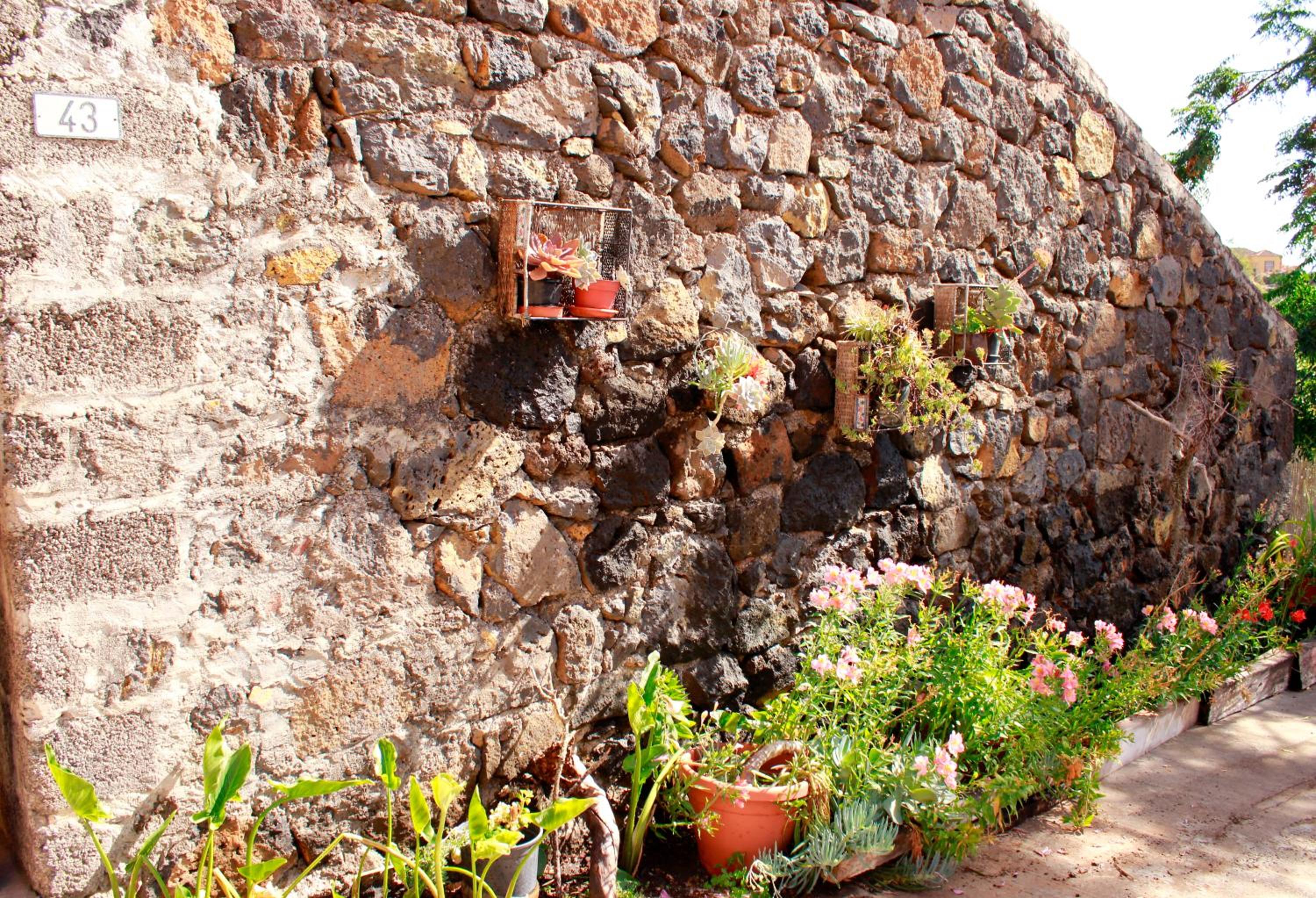 Casa Basilisa Capote view 5