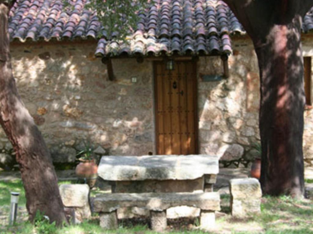 Photo 46