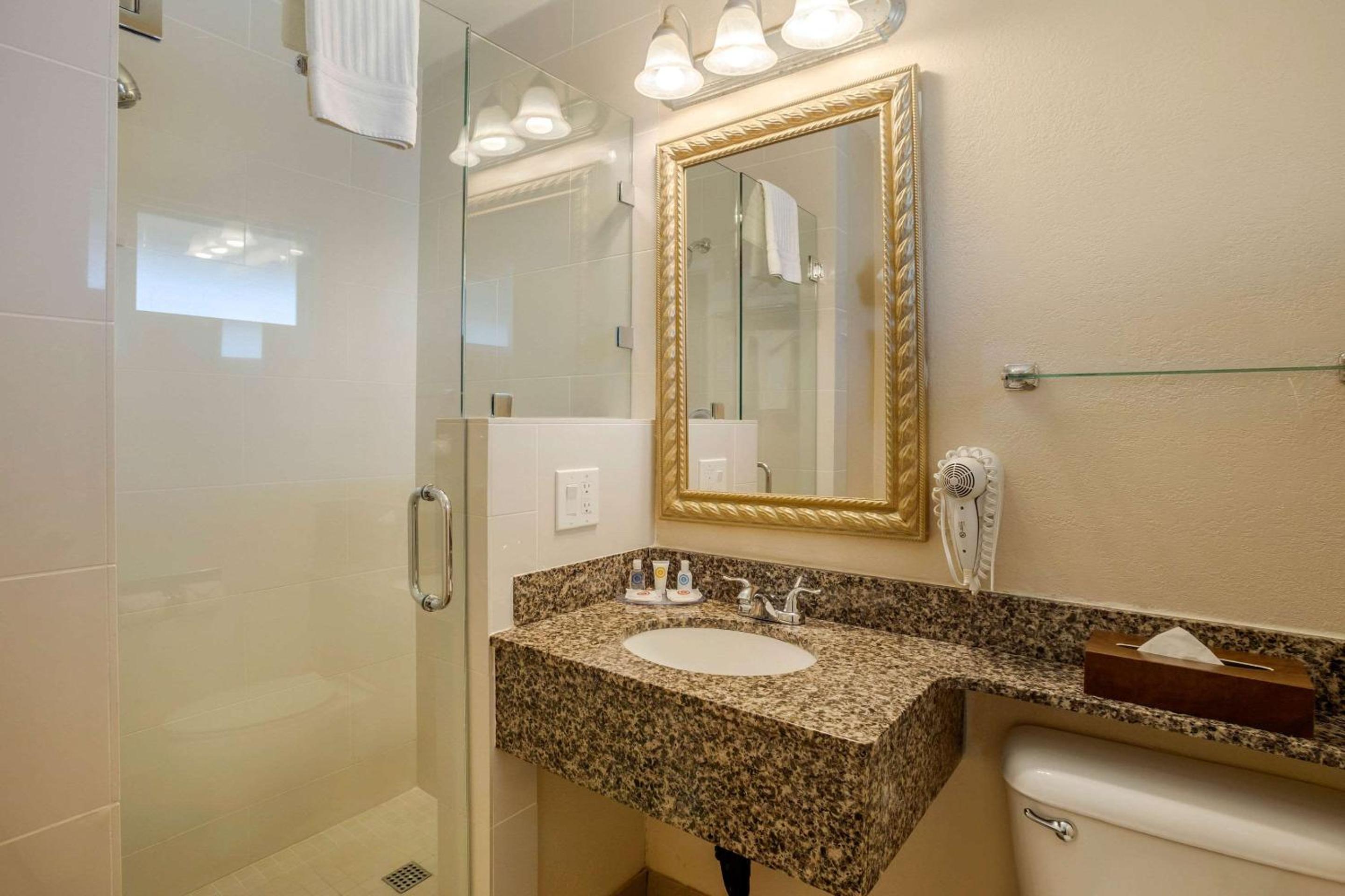 Comfort Inn San Diego Airport At The Harbor, 사진 36