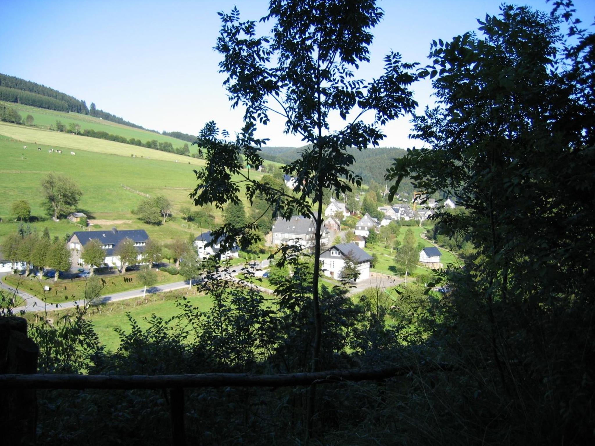Photo 23