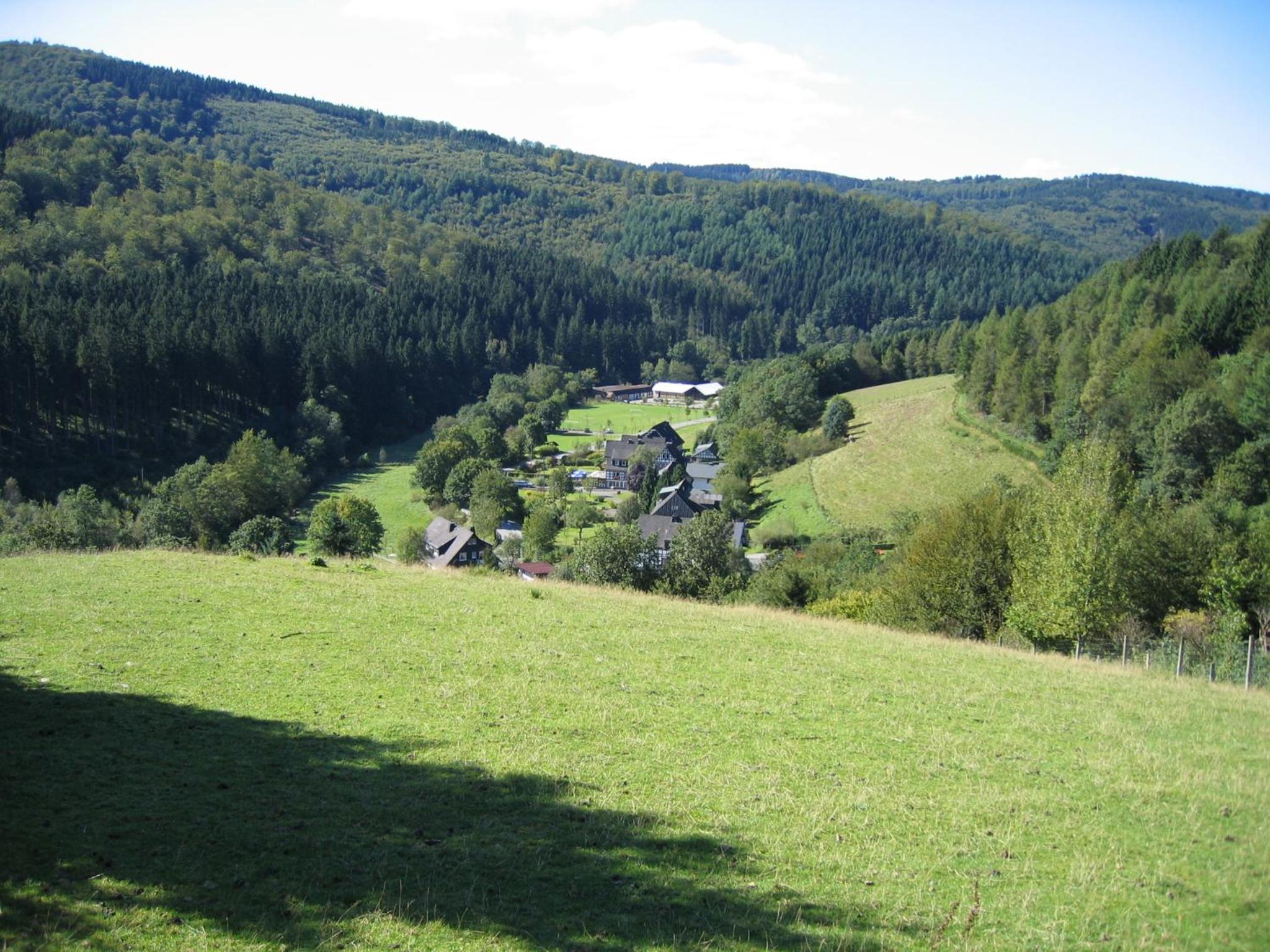 Photo 22