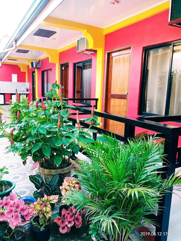 Amelia Homestay