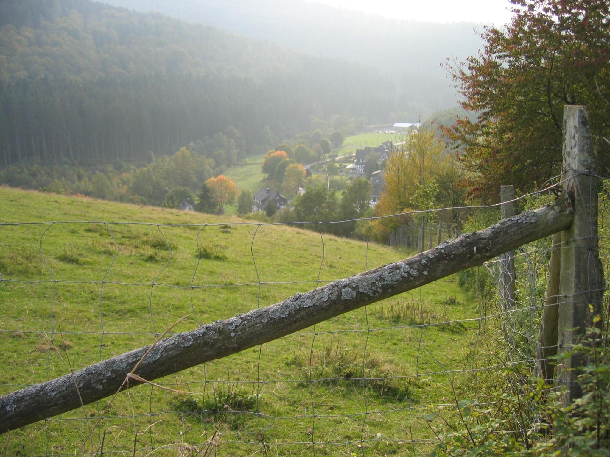 Photo 20