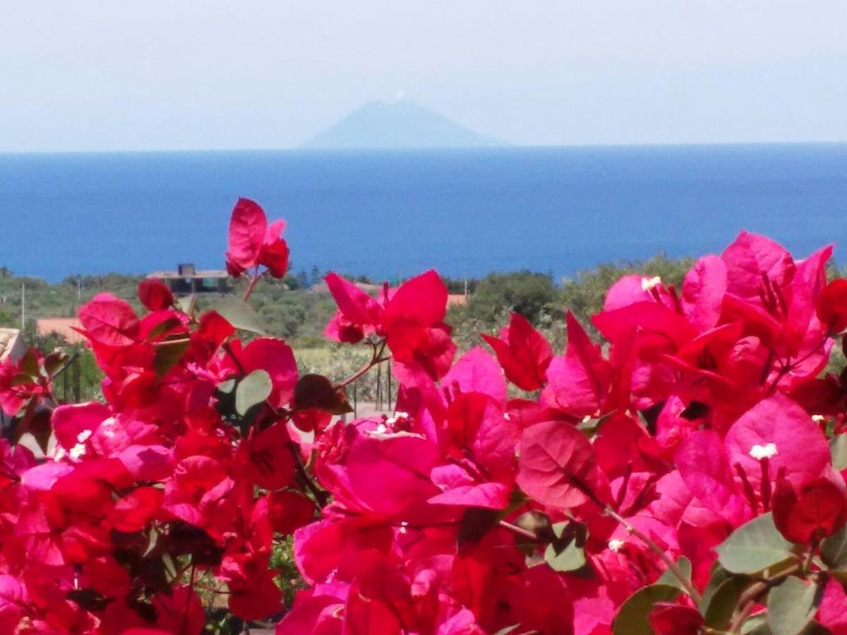 Villa Macria photo 3