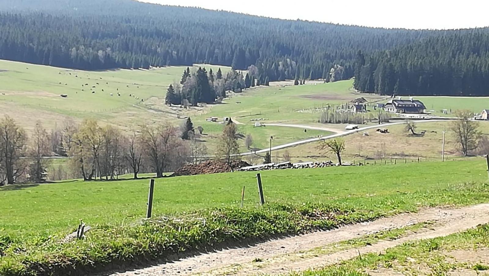 Apartmán Pivoňka