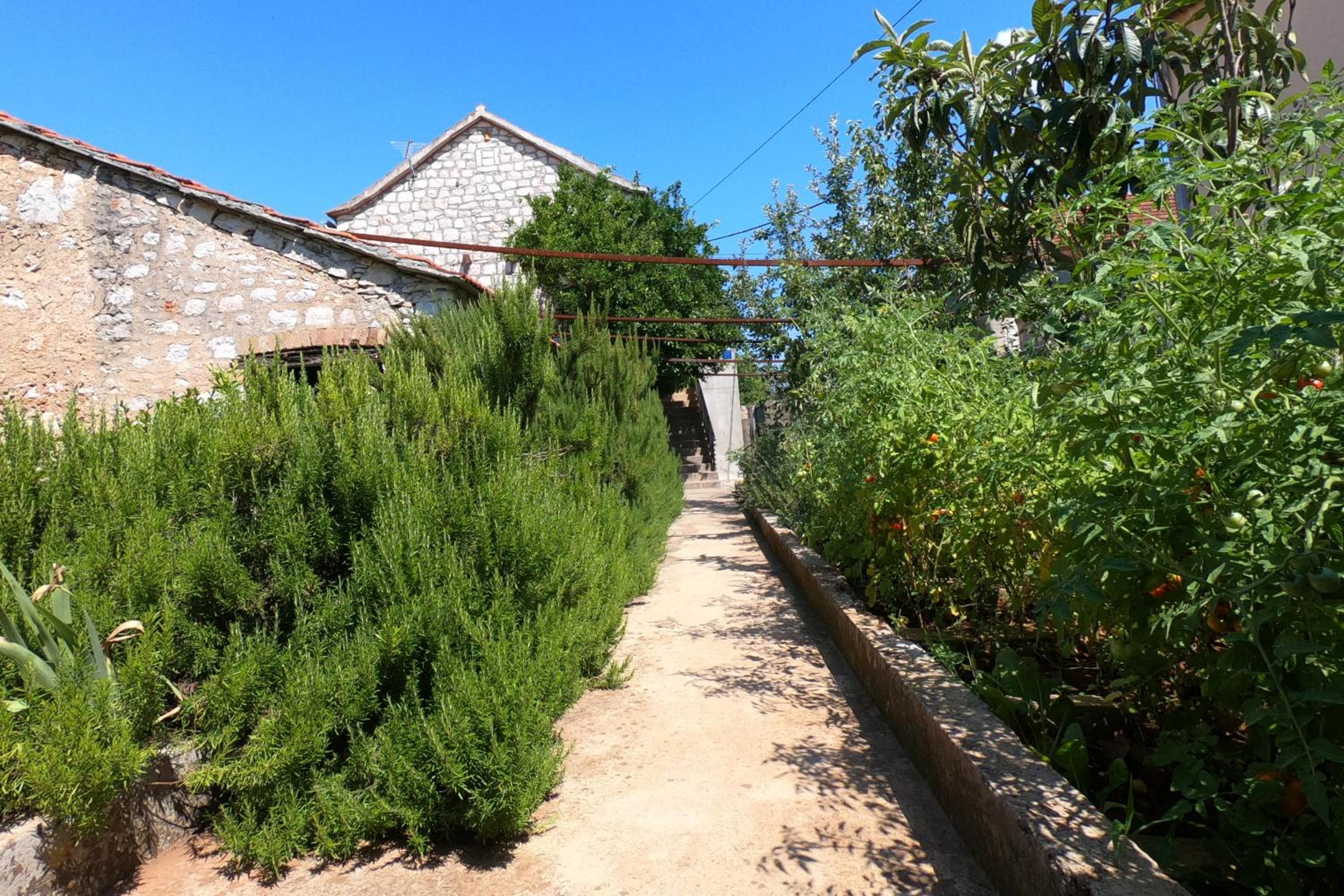 Apartment Dulcis