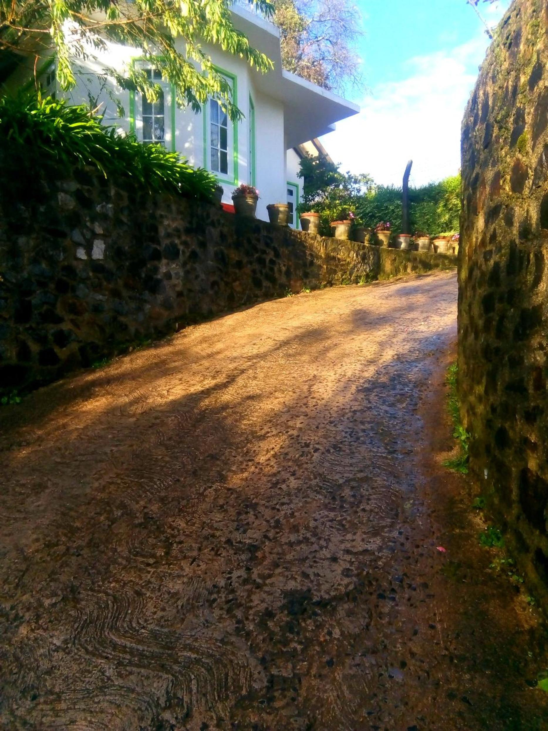Photo 38