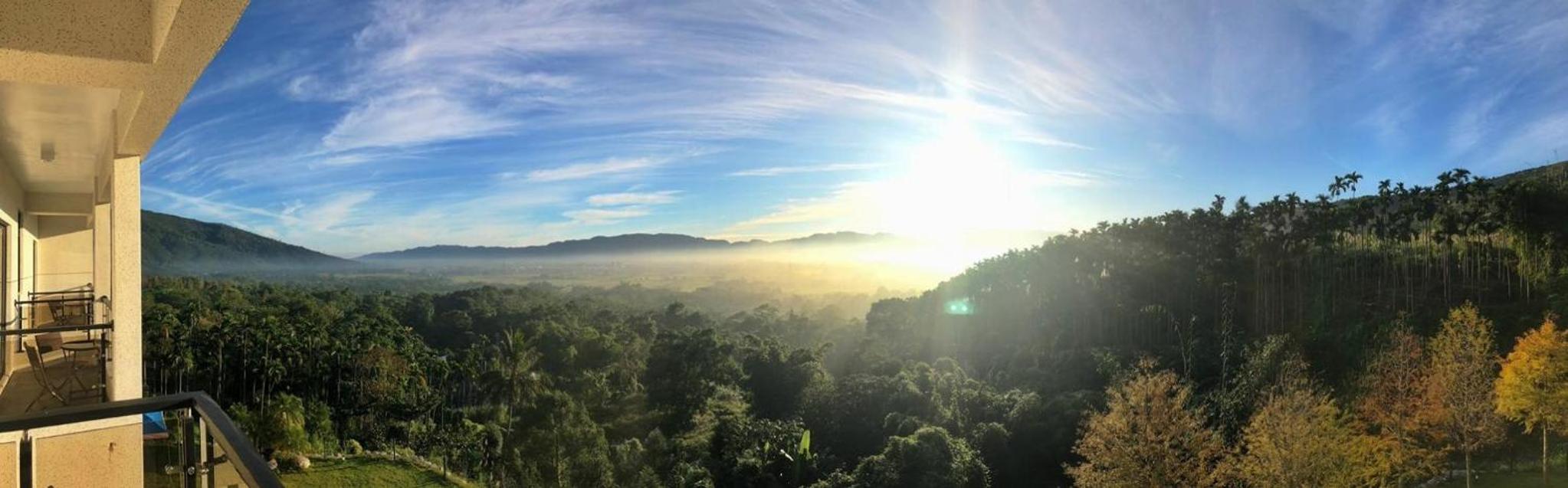 Sunrise Forest