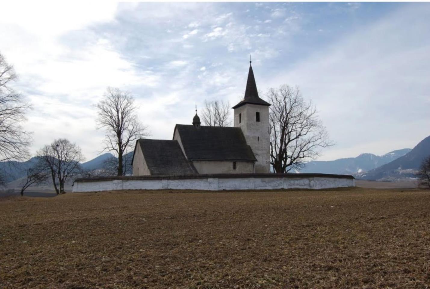 Photo 42