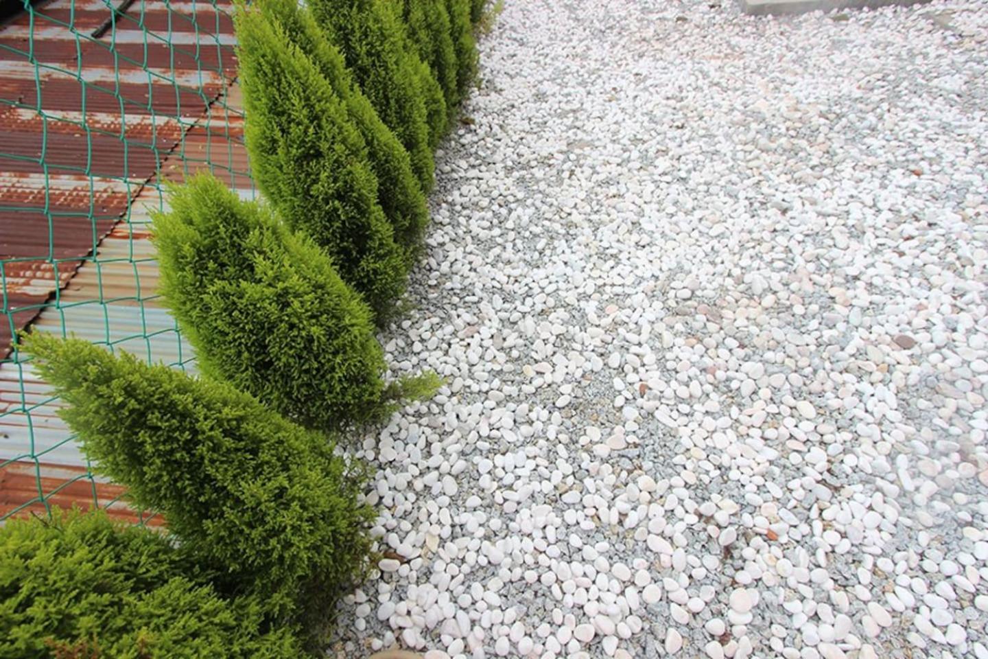 Photo 29