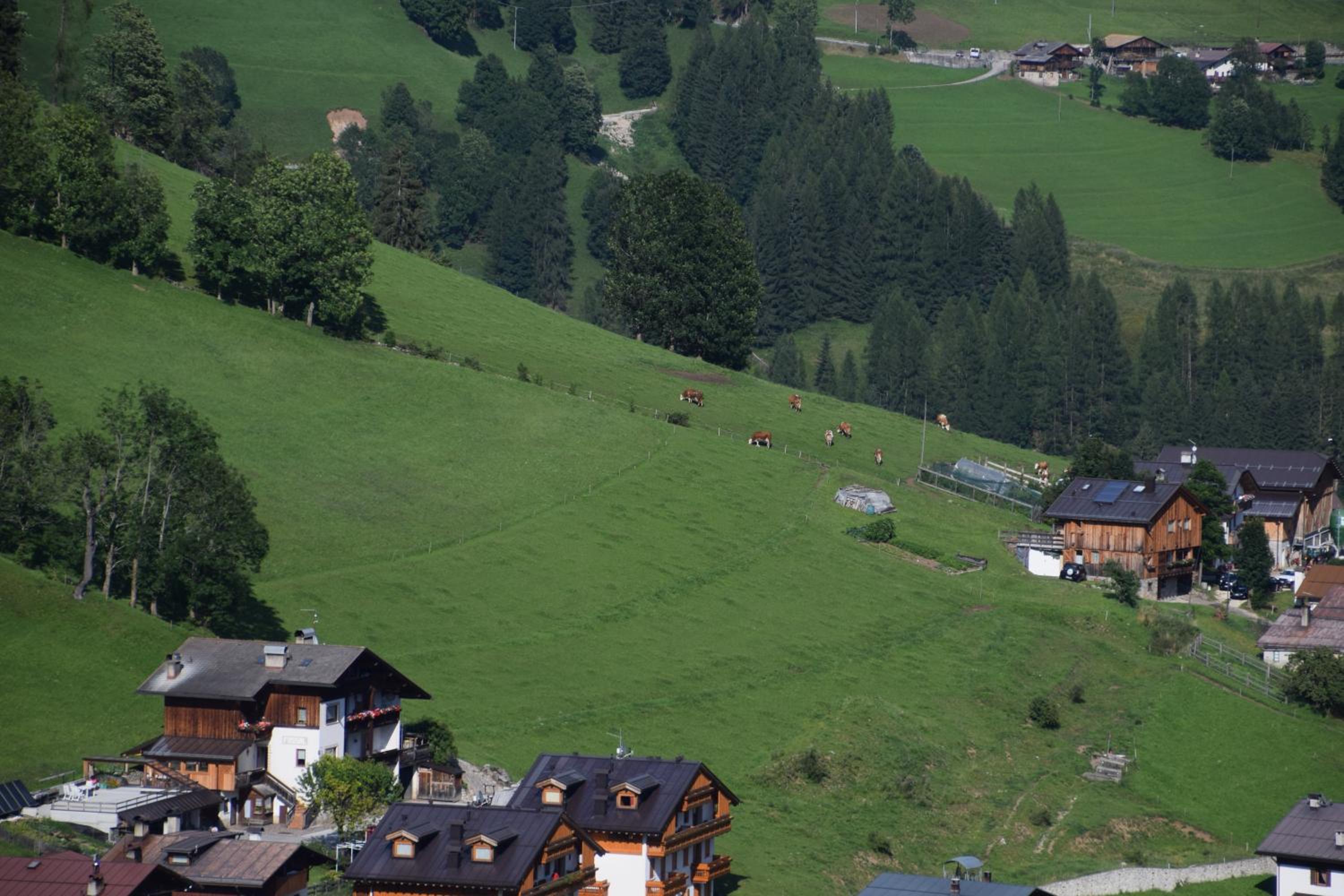 Cesa Fossal view 5