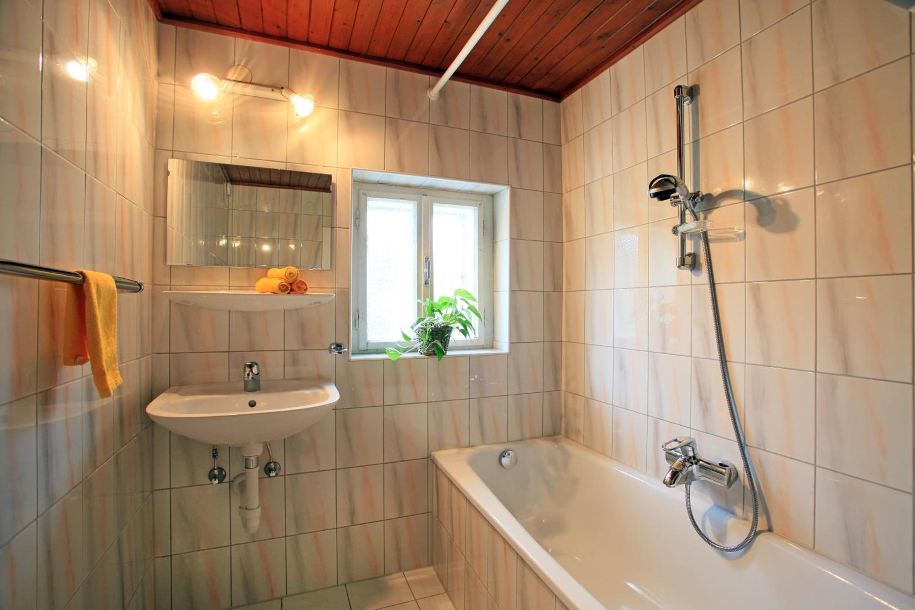 Ferienhaus Hinterebenhub