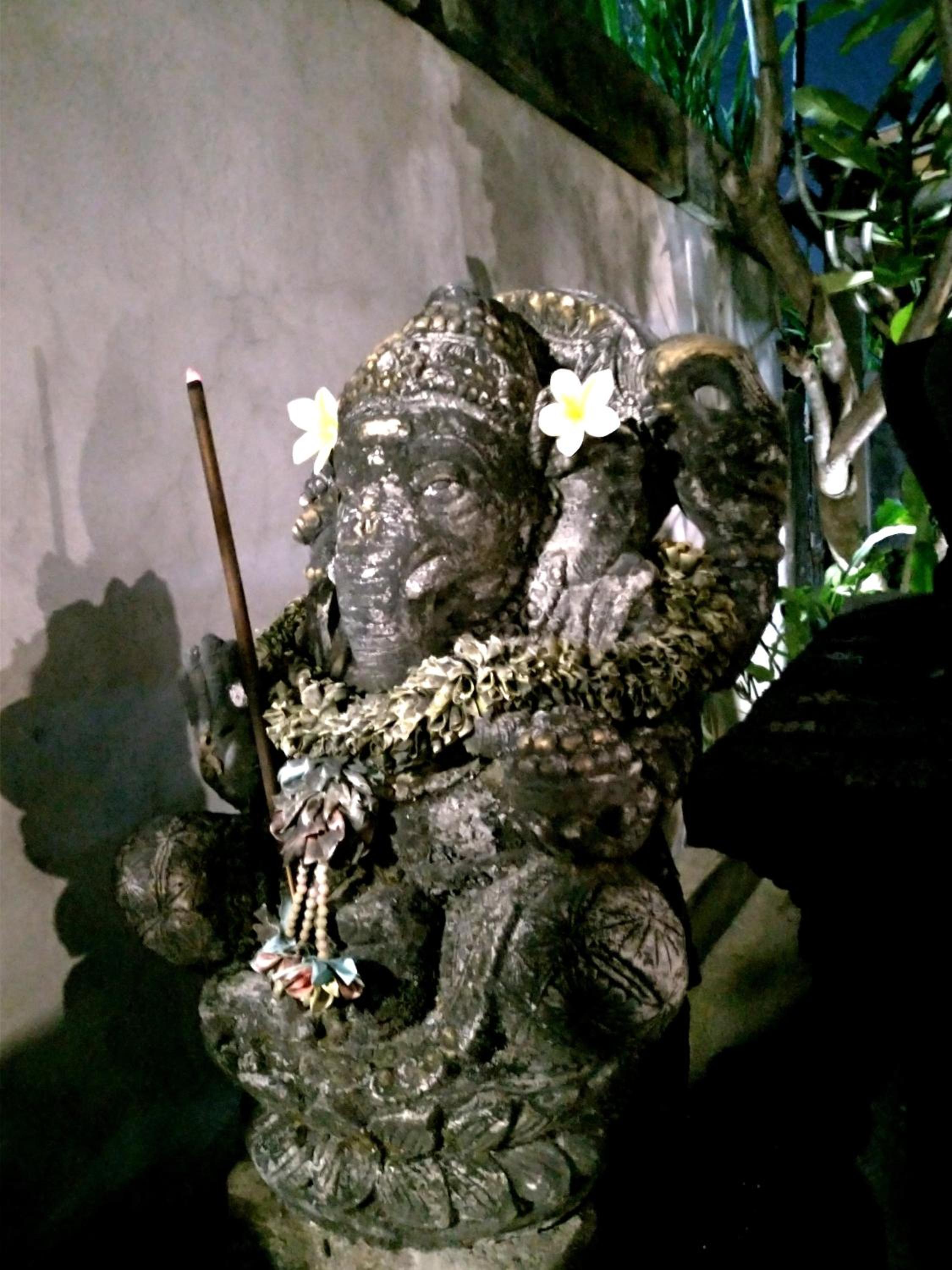 Photo 29