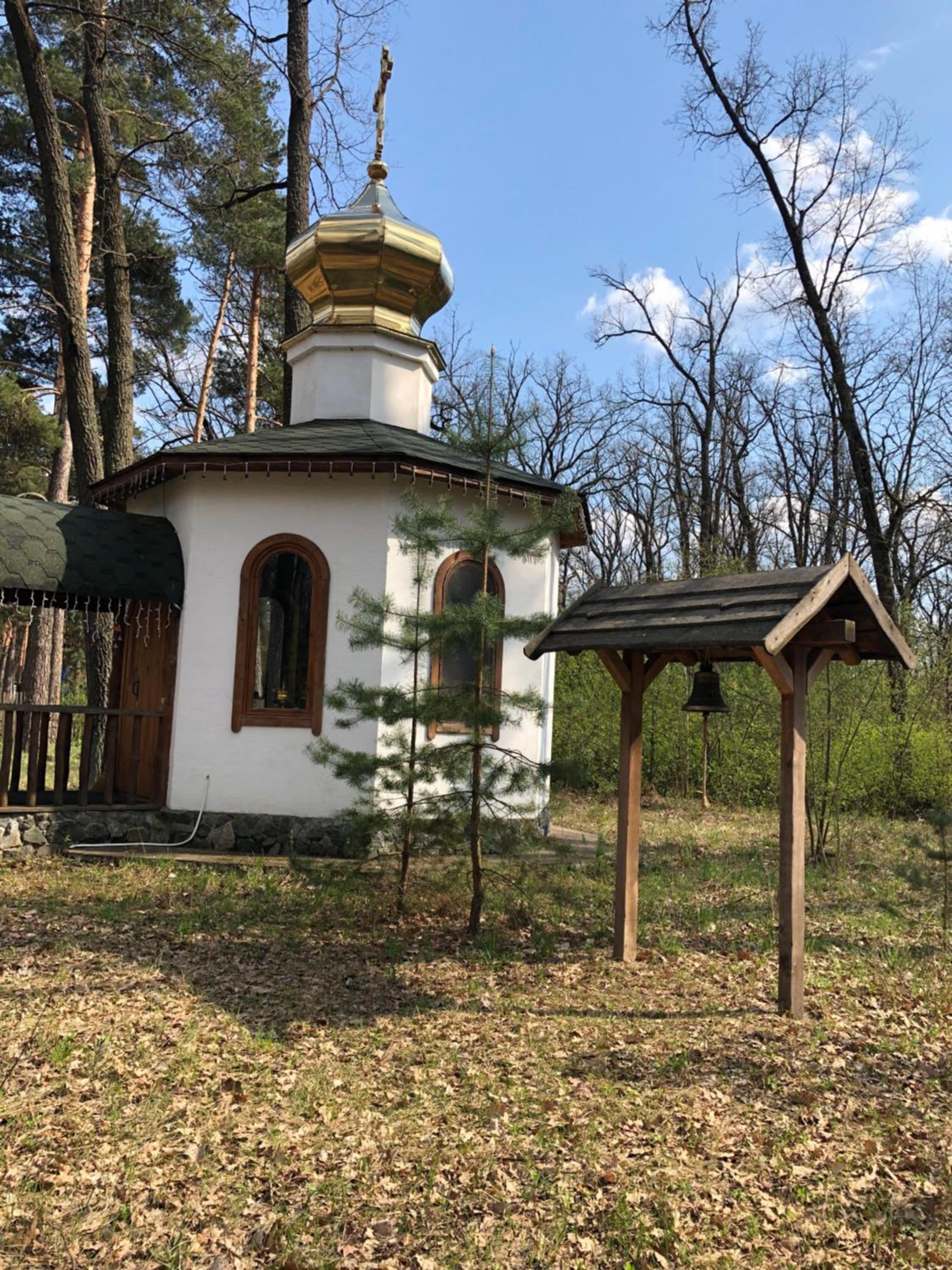 Photo 199