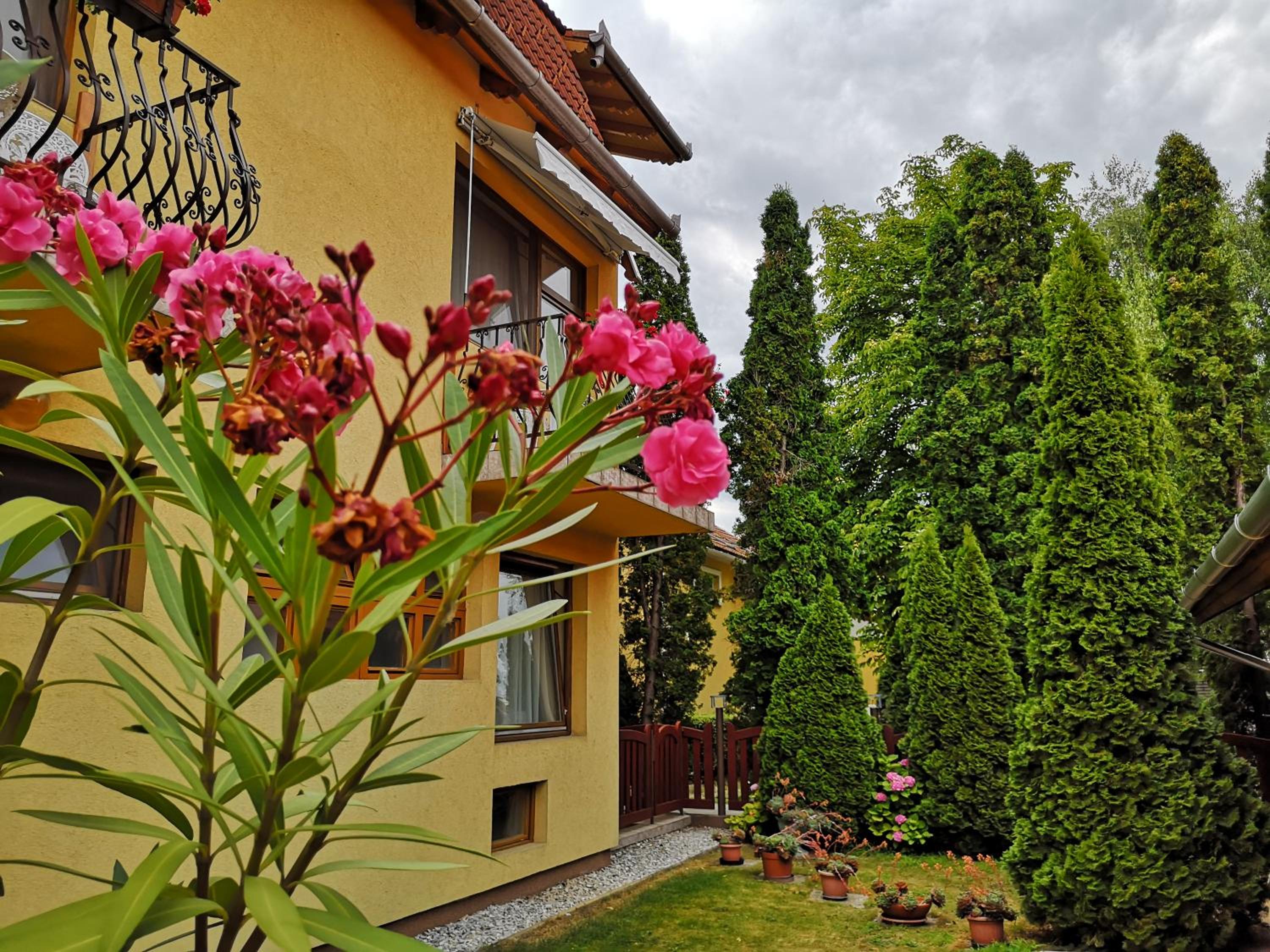 Photo 26
