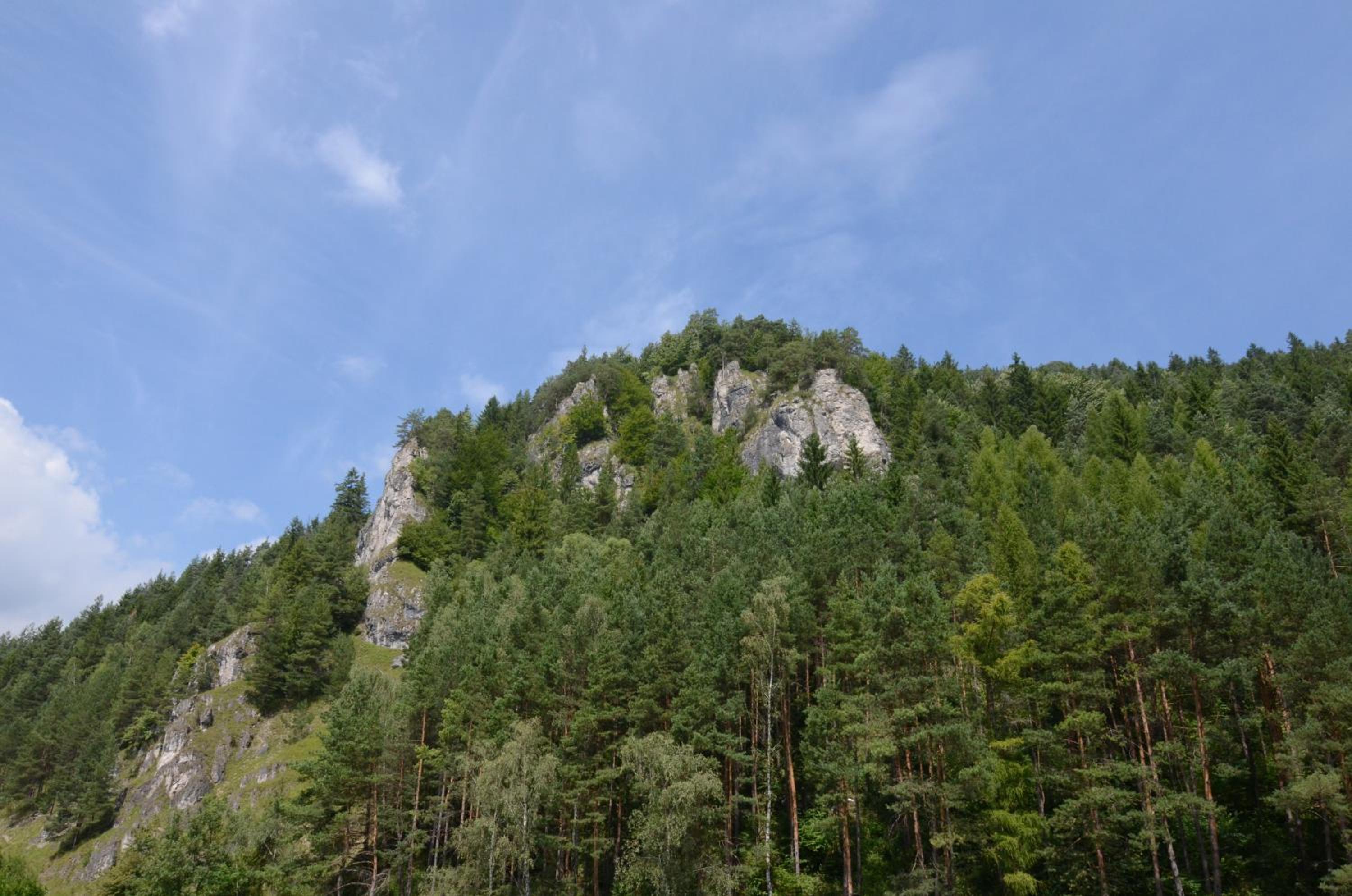 Photo 26