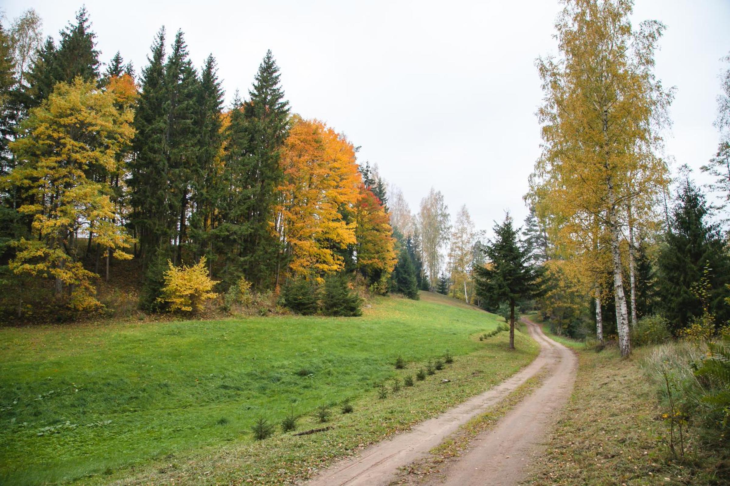 Photo 48