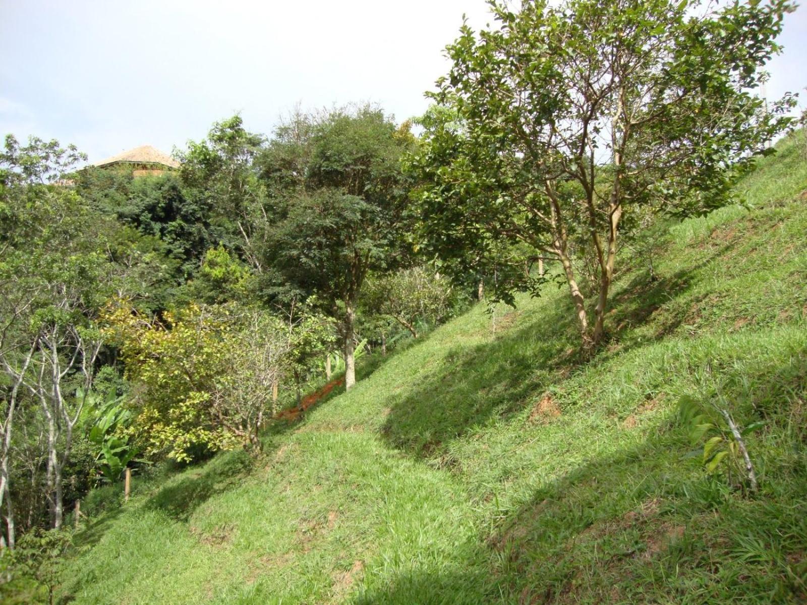 children's play area