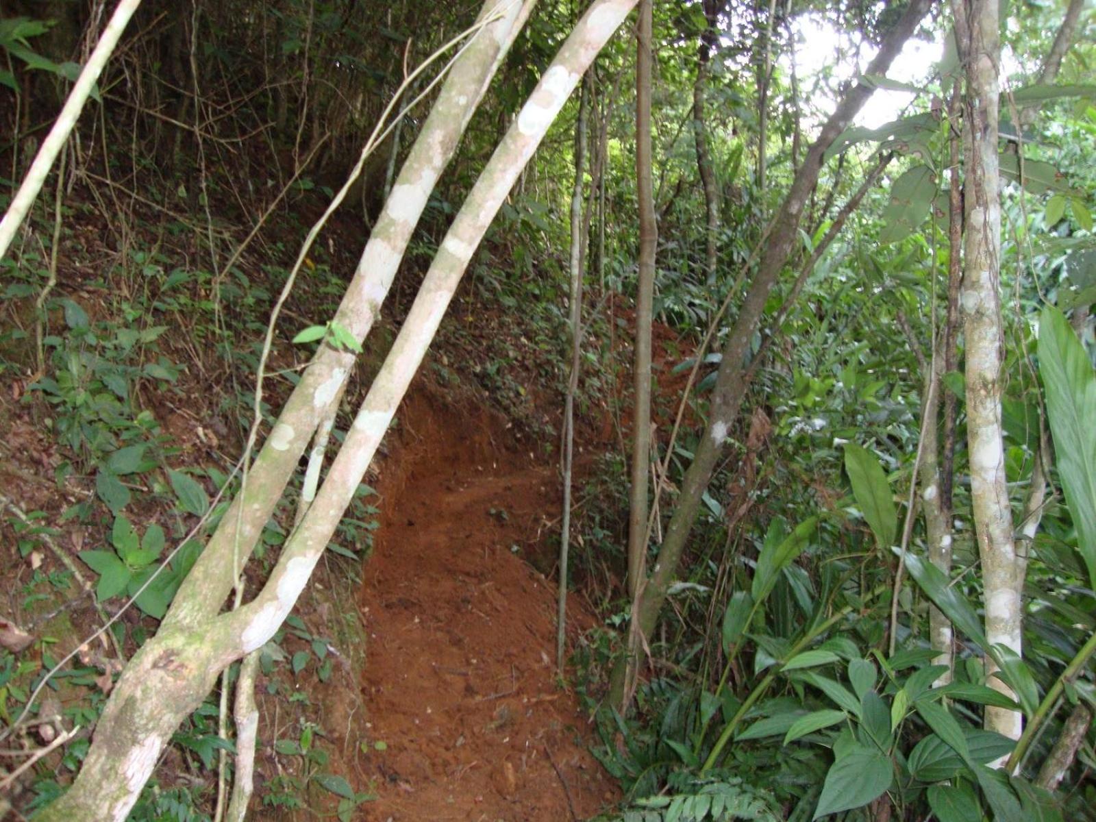 children's play area