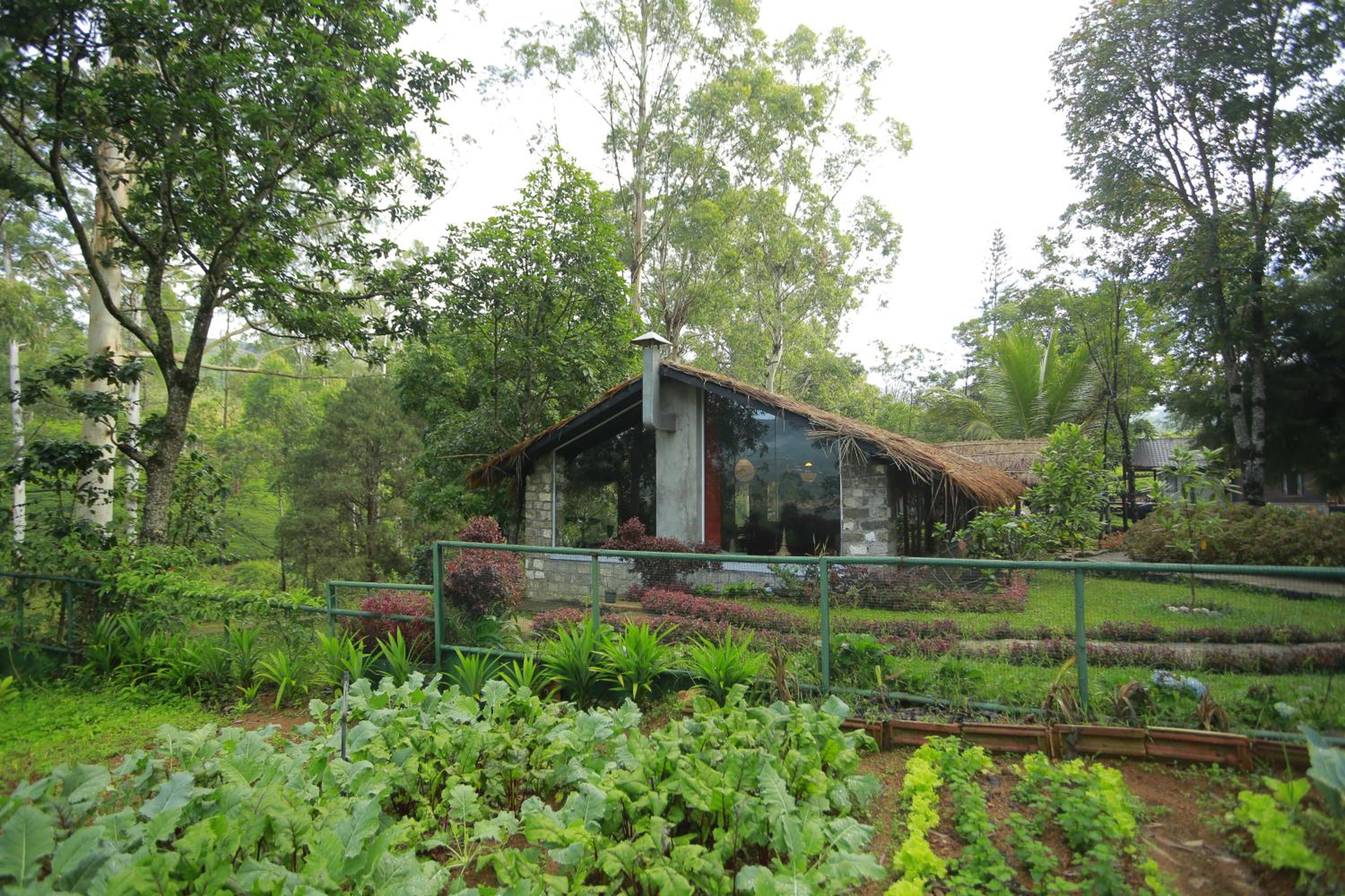 The Farm Resorts