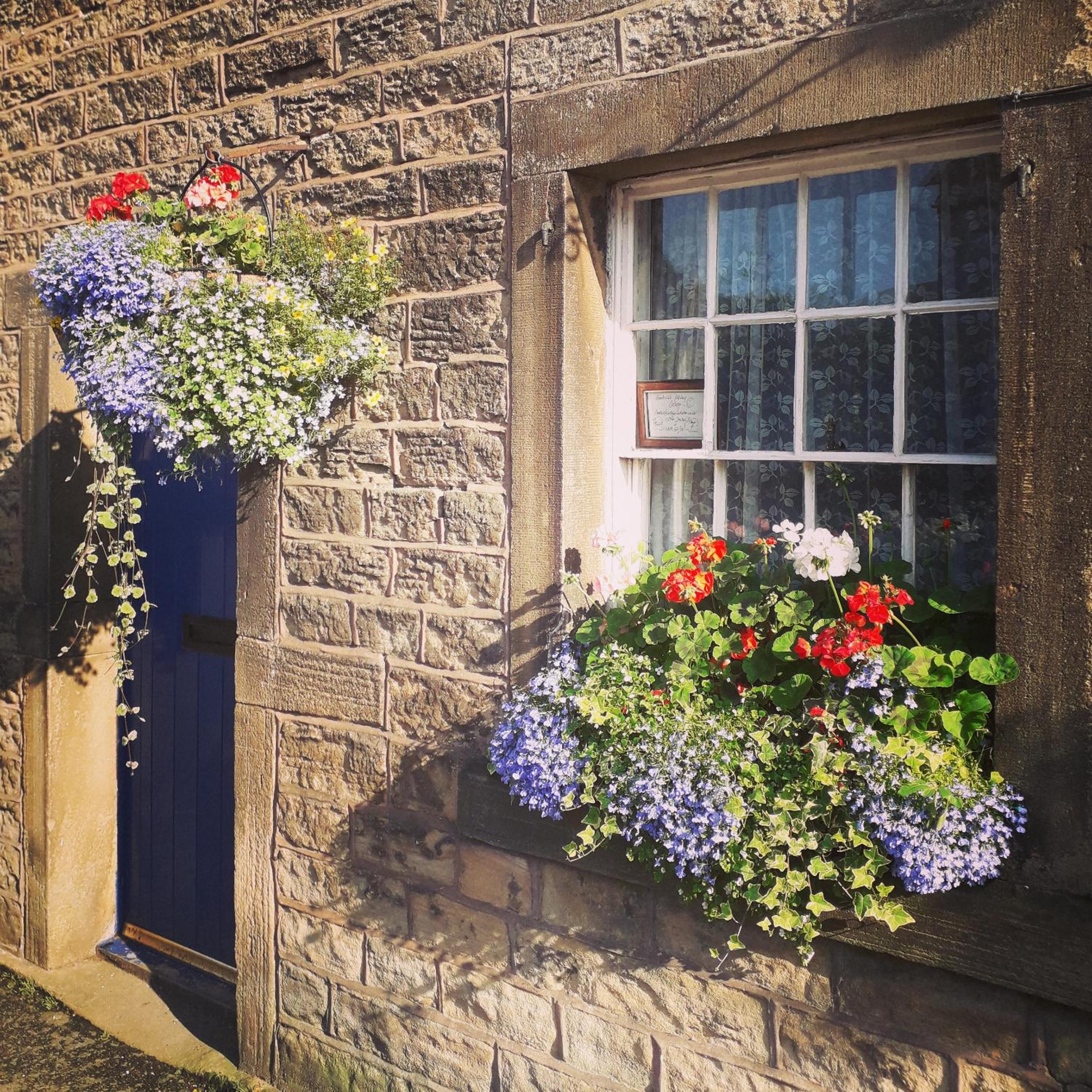 Beech croft holiday cottage view 2