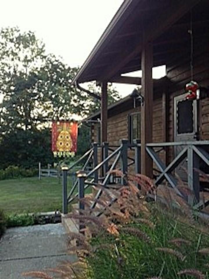 Photo 12