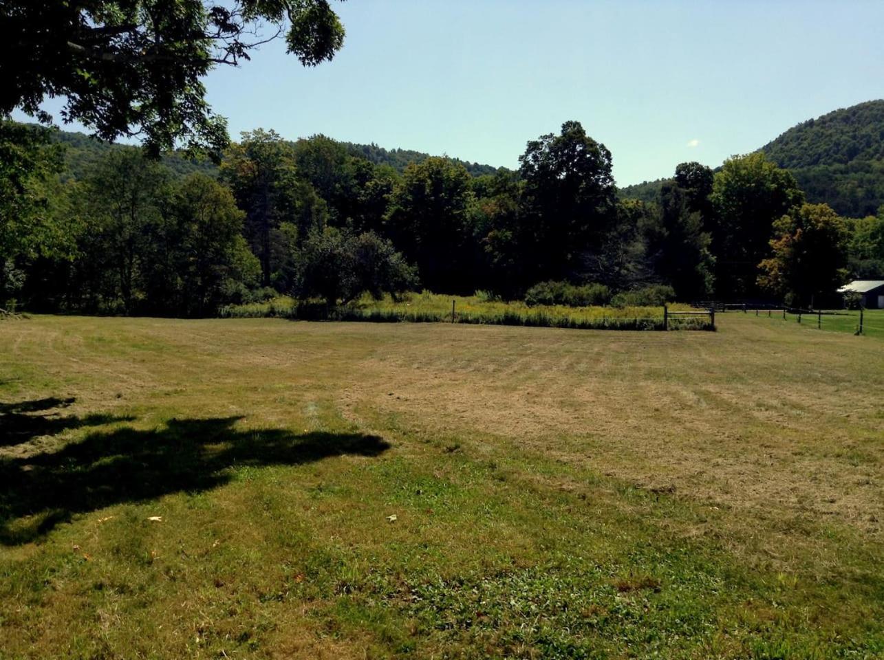 Photo 42