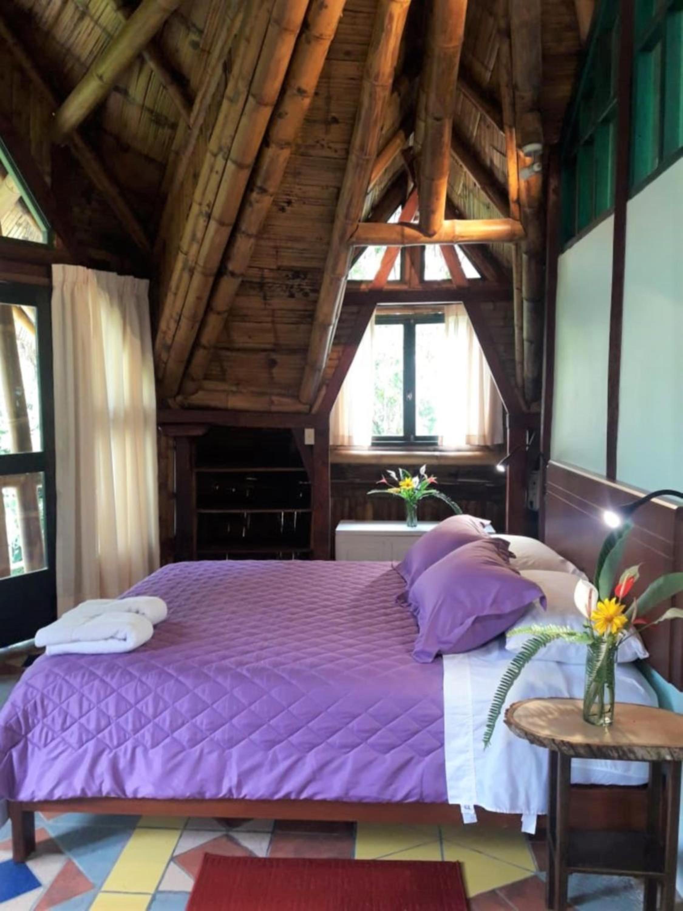 Sacha Urco Lodge -Private Cloud Forest Reserve in Mindo- 4x4 recommended March-April