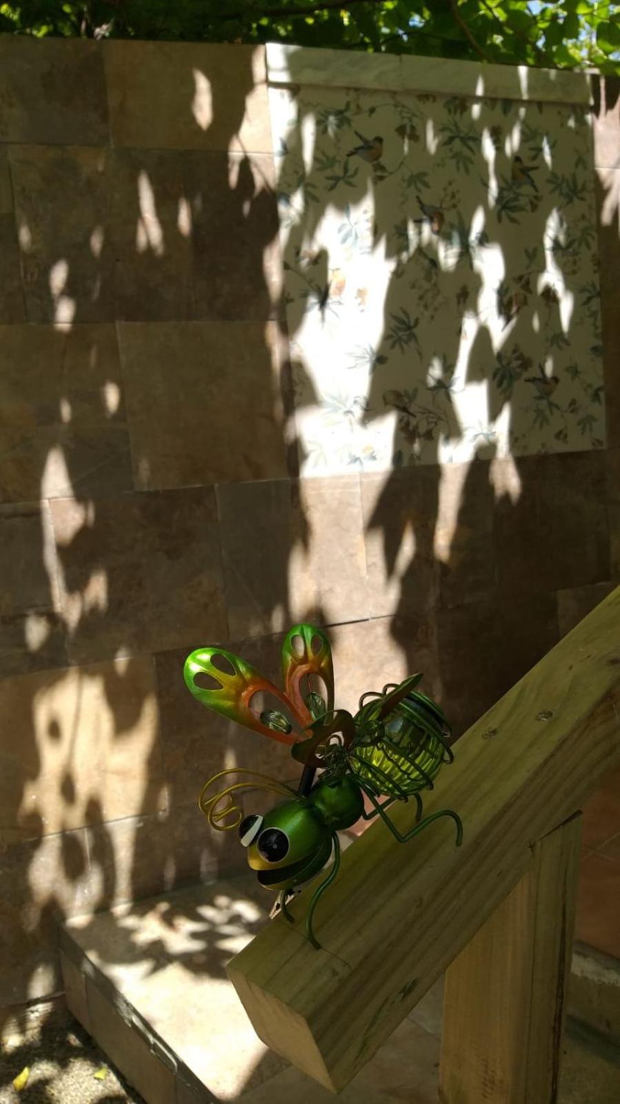 Photo 38