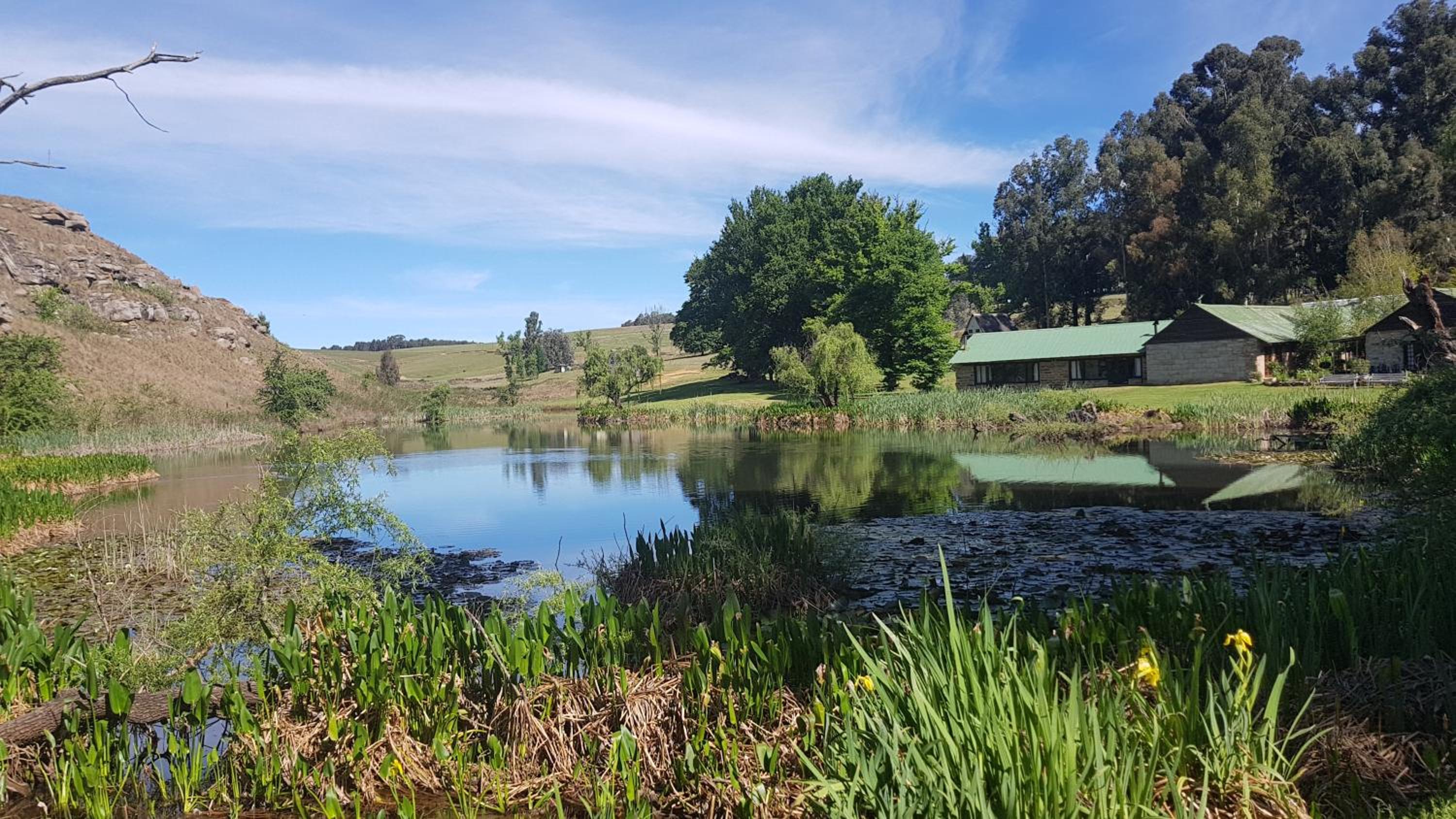 Penwarn Farm