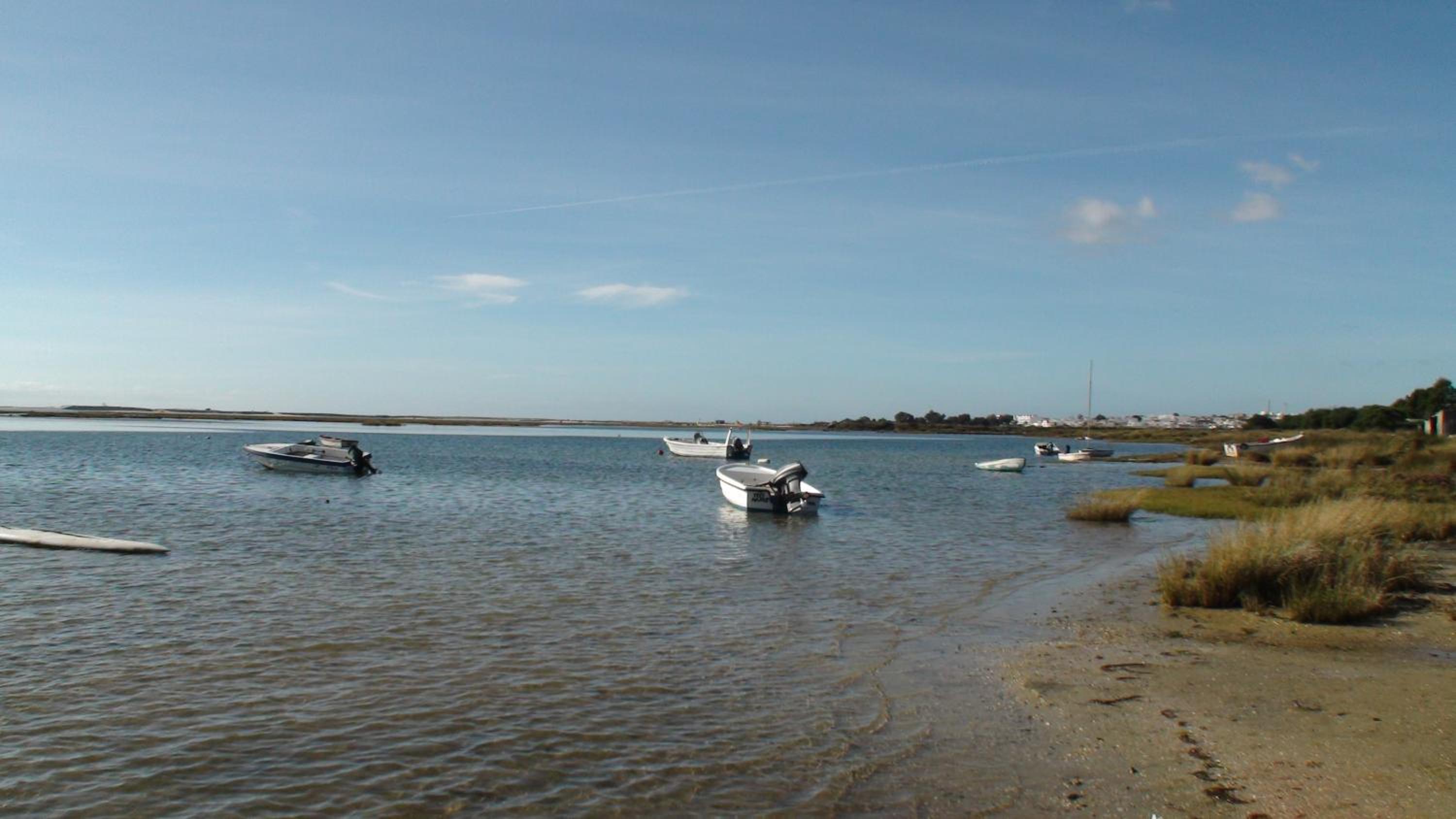 Photo 31
