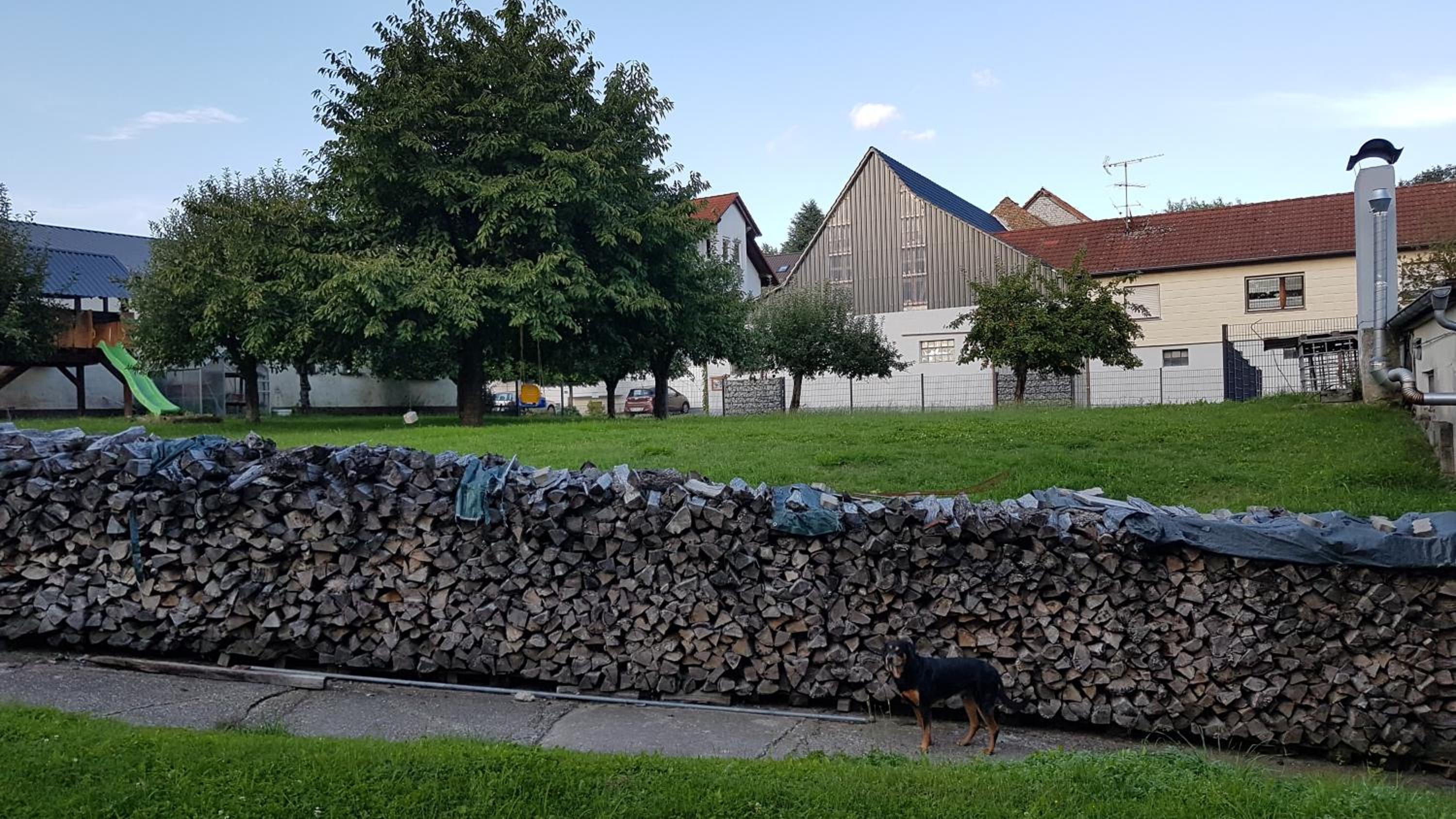 Photo 29