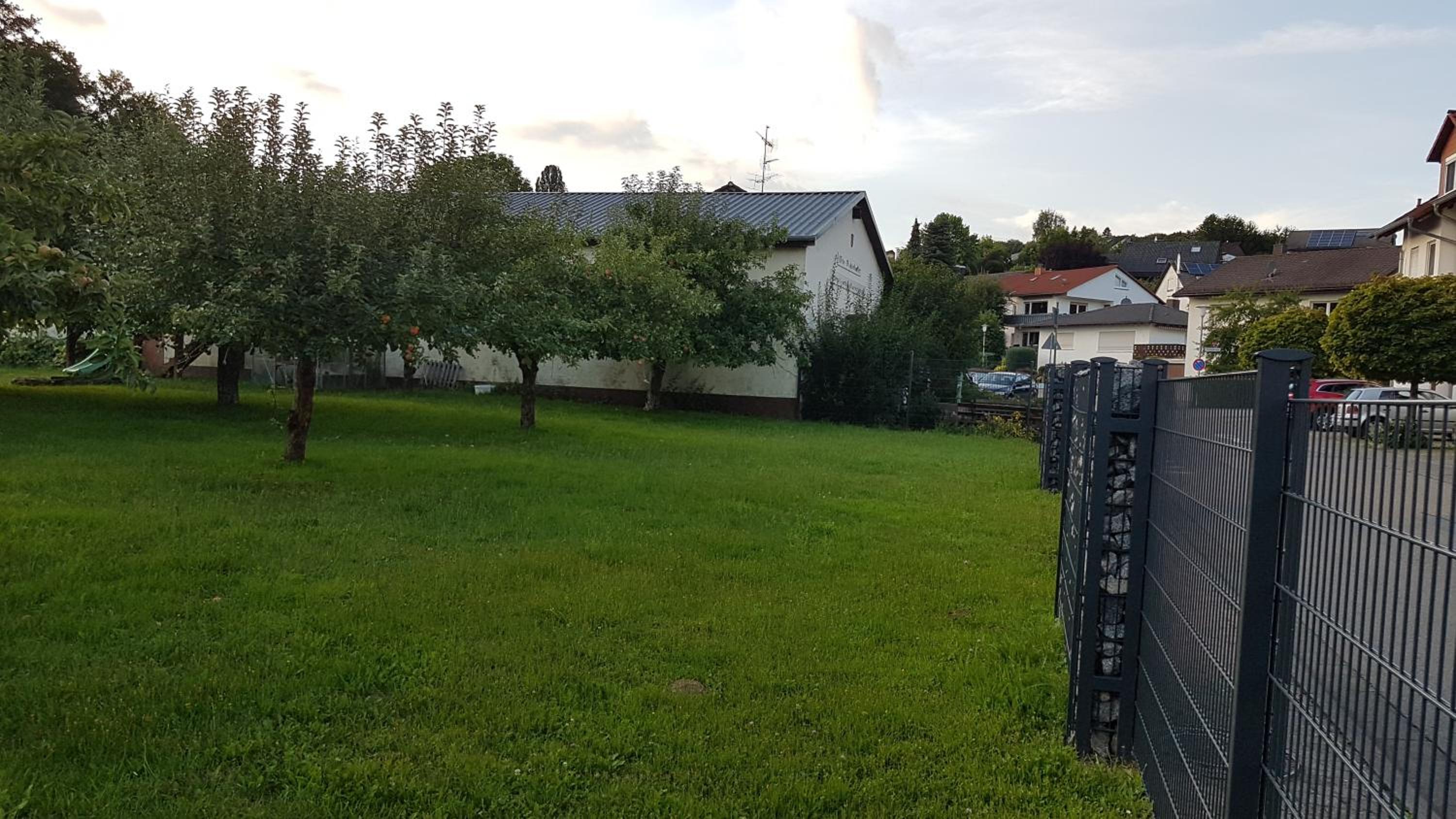 Photo 31
