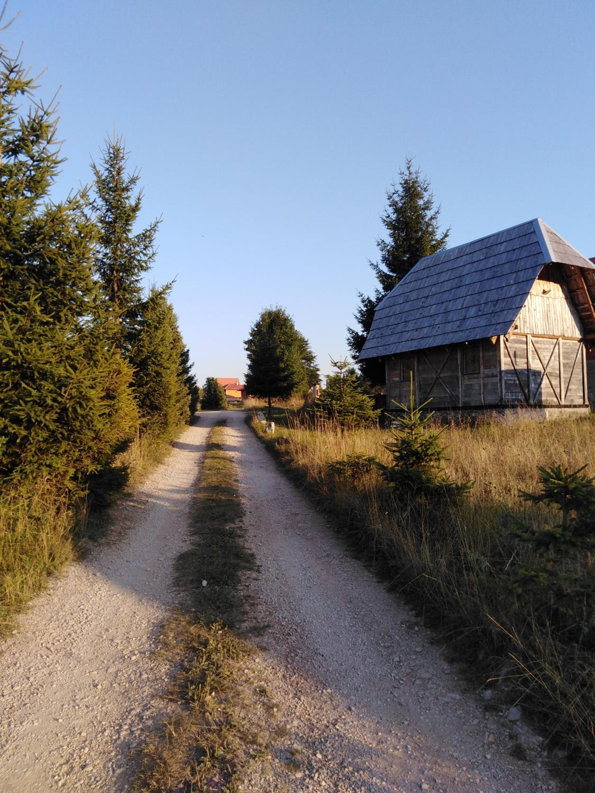 Photo 49
