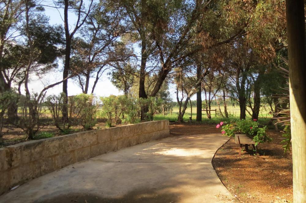 Bentwood Olive Grove Accommodation